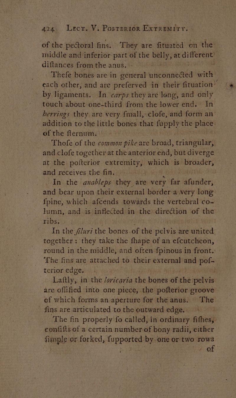 of the pectoral fins. They are fituated on the middle and inferior part of the wiih at di 3 diftances from the anus. Thefe bones are in general unconnected with each other, and are preferved in their fituation™ by ligaments. In carps they are long, and only touch about one-third from the lower end. In herrings they are very fmall, clofe, and form an addition to the little bones that fupply the Pie, of the fternum. Thofe of the common pike are broad, peer and clofe together at the anterior end, but diverge at the pofterior Sur ti had which is broader, and receives the fin. In the anableps they are very tot busier, and bear upon their external border a very long fpine, which afcends towards the vertebral co- lumn, and is inflected in the direction of the ribs. | In the f/uri the bones of the del sie are united together: they take the fhape of an efcutcheon, Bre NE in the middle, and often fpinous in front. ‘The fins are attached to their external and pof- terior edge. Laftly, in the loricaria he bones of es paie are offified into one piece, the pofterior groove ef which forms an aperture for the anus. The fins are articulated to the outward edge. | The fin properly fo called, in ordinary fifhes, confifts of a certain number of bony radii, either fimple or forked, fupported by one or two rows ie a of