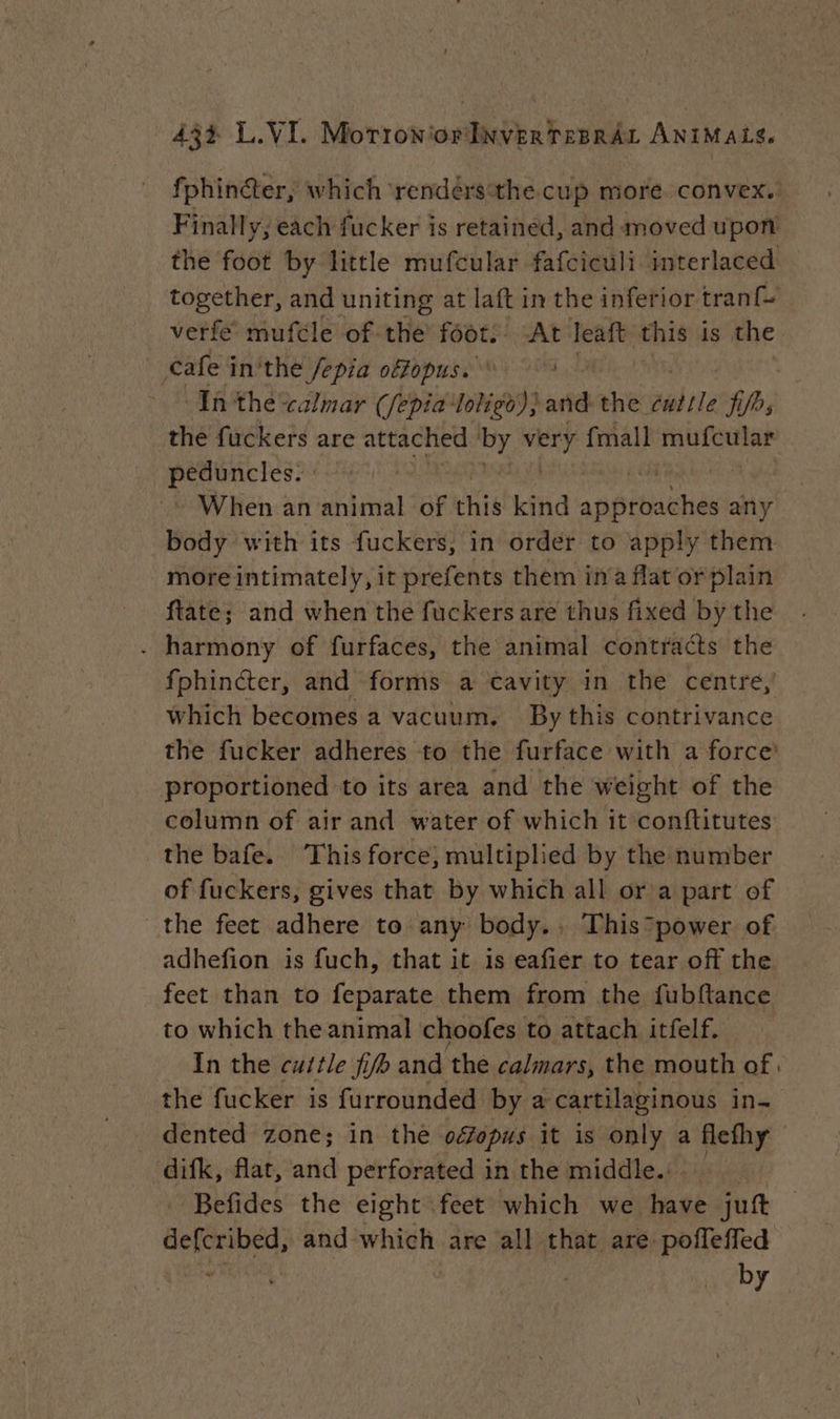 433 L.VI. MorroNiorINVERTEBRAL ANIMALS, fphinéter, which rendérsthe cup more convex. Finally; each fucker is retained, and moved upon: the foot by little mufcular fafciculi interlaced together, and uniting at laft in the inferior tranf- verfe mufcle of the foot. At leaft this is the _ Cafe in'the /epia offopus. | In the calmar (fepia loligo)) and the varie fis the fuckers are attached by men fmall mufcular 1 aaa | When an animal of this kind appthachés any body with its fuckers, in order to apply them more intimately, it prefents them in'a flat or plain ftate; and when the fuckers are thus fixed by the . harmony of furfaces, the animal contracts the fphincter, and forms a cavity in the centré, which becomes a vacuum. By this contrivance the fucker adheres to the furface with a force’ proportioned to its area and the weight of the column of air and water of which it conftitutes the bafe. This force} multiplied by the number of fuckers, gives that by which all or a part of the feet adhere to any body., This*power of adhefion is fuch, that it is eafier to tear off the feet than to feparate them from the fubftance to which the animal choofes to attach itfelf. In the cuttle fib and the calmars, the mouth of: the fucker is furrounded by a cartilaginous in- dented zone; in the odfopus it is only a flethy difk, flat, and perforated in the middle. Befides the eight feet which we hase jut tes and which are all that are poffeffed by