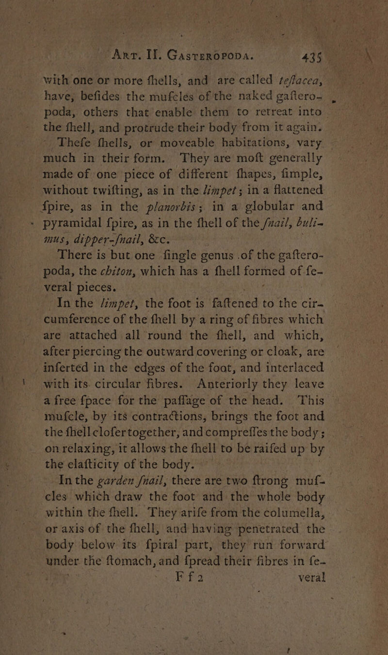 with one or more fhells, and are called tefacea, have, befides the mufclés of the naked gaftero- poda, others that enable them to retreat into. the fhell, and protrude their body from it again. : Thefe fhells, or moveable habitations, vary much in their form. They are moft generally made of one piece of different fhapes, fimple, without twifting, as in the /impet; in a flattened pire, as in the planorbis ; in a globular and - pyramidal fpire, as in the fhell of the /zaz/, buli- mus, dipper-fnail, &amp;c. There is but one fingle genus .of the gaftero- poda, the chiton, which has a fhell ee of fe- veral pieces. In the /impet, the foot is Mitened to the cir- cumference of the fhell by a ring of fibres which are attached all round the fell, and which, after piercing the outward covering or cloak, are inferted in the edges of the foat, and interlaced with its. circular fibres. Anteriorly they leave a free fpace for the paffage of the head. This” mufcle, by its contractions, brings the foot and the fhell clofertogether, andcompreffes the body; . on relaxing, it allows the felt to be raifed up by the elafticity of the body. — | In the garden /nail, there are two ftrong muf- cles which draw the foot and the whole body within the fhell. They arife from the columella, or axis of the fhell, and having penetrated the _body below its fpiral part, they run forward | : the ftomach, and fpread their fibres in fe- | om ve veral