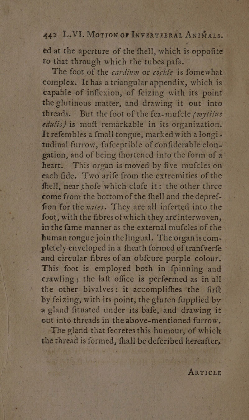 “ éd at the aperture of the fhell, which is oppofite to that through which the tubes pats. The foot of the cardium or cockle is fomewhat complex. Ithas a triangular appendix, which is capable of inflexion, of feizing with its point the glutinous matter, and drawing it out. into threads. But the foot of the fea-mufcle (myiilus It refembles a fmall tongue, marked with a longi. tudinal furrow, fufceptible of confiderable giant . gation, and of being fhortened into the form of a’ heart. This organ is moved by five mufcles on each fide. Two arife from the extremities of the fheH, near thofe which clofe it: the other three come from the bottomof the fhell and the depref- foot, with the fibres of which they areinterwoven, inthe fame manner as the external mufcles of the human tongue join thelingual. The organiscom- pletely enveloped ina fheath formed of tranfverfe : and circular fibres of an obfcure purple colour. This foot is employed both in {pinning and crawling ; the laft office is perfermed as in all the other bivalves: it accomplifhes the firft by feizing, with its point, the gluten fupplied by out into threads in the above-mentioned furrow. Fhe gland that fecretes this humour, of which the thread is formed, fhall be defcribed hereafter. ARTICLE