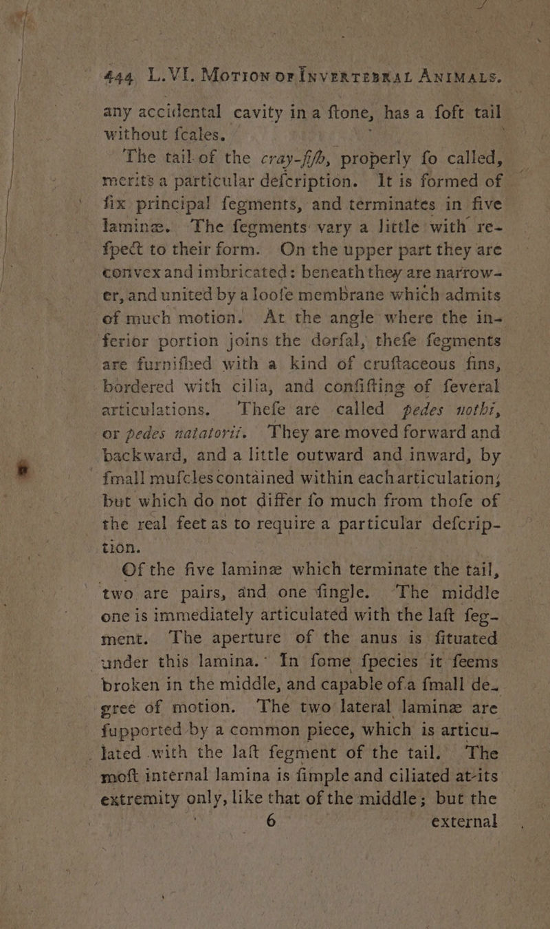 any accidental cavity ina ftone, has a foft tail | The tail of the cray-fifo, properly fo “called merits a particular defcription. It is formed of fix principal fegments, and terminates in five laminæ. The fegments: vary a little with re- fpect to their form. On the upper part they are convex and imbricated: beneath they are narrow- er, and united by a loofe membrane which admits are furnifhed with a kind of cruftaceous fins, bordered with cilia, and confifting of feveral articulations. Thefe are called pedes nothr, or pedes natatorit. They are moved forward and backward, and a little outward and inward, by but which do not differ fo much from thofe of the real feet as to reas a particular defcrip- tion. Of the five laminæ which terminate the tail, two are pairs, and one fingle. ‘The middle one is immediately articulated with the laft feg- ment. The aperture of the anus is fituated broken in the middle, and capab! e ofa fmall de. gree of motion. The two lateral laminæ are fupported by a common piece, which is articu- moft internal lamina is fimple and ciliated at-its extremity pe y, like that of the middle ; but the 6 external