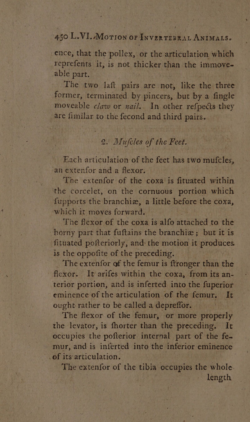 LES 410 Li¥i. Bice OF InvenrEsrat ANIMALSe ence, that the pollex, or the articulation which reprefents it, is not thicker than the immove- able part. | The two laft pairs are not like ch three former, terminated by pincers, but by a fingle moveable claw or ail. In other refpects they are fimilar to the fecond and third pairs. 2. Mufèles of the Feet. Each articulation of the feet has two mufcles, ‘an extenfor and a flexor. | The extenfor of the coxa is fituated within the corcelet, on the cornuous portion which fupports the branchiæ, a little before the coxa, which it moves forward. The flexor of the coxa is alfo attached to the -horny part that fuftains the branchiæ; but it is fituated pofteriorly, and: the motion it produces is the oppofite of the preceding. AVN The extenfor of the femur is ftronger than the | flexor: It arifes within the coxa, from its an- terior portion, and is inferted into the fuperior eminence of the articulation of the femur. It ought rather to be called a depreffor. The flexor of the femur, or more properly the levator, is fhorter than the preceding. It occupies the pofterior internal part of the fe. mur, and is inierted into the inferior eminence of its'articulation. The extenfor of the tibia occupies the whole. length