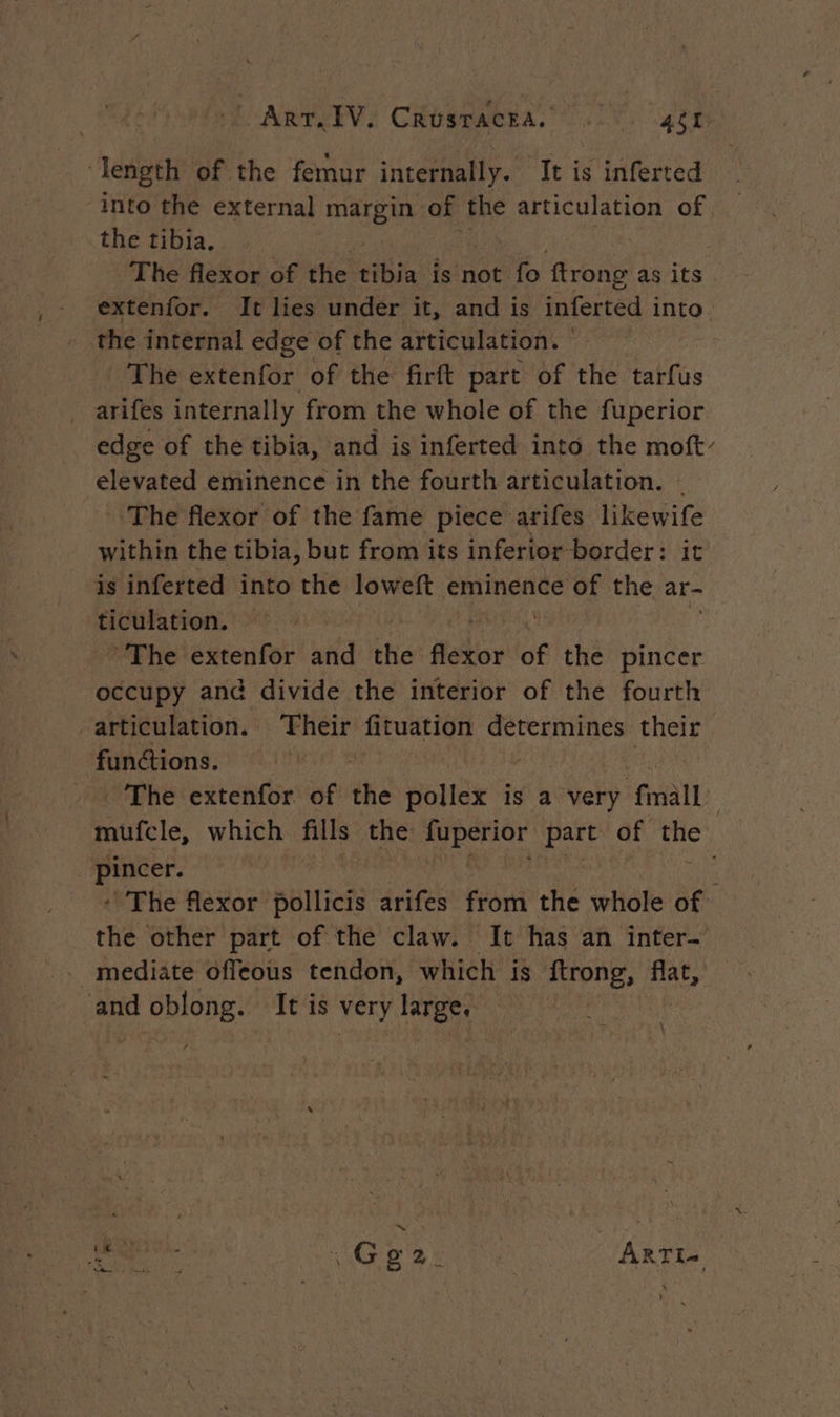 length of the femur internally. It is inferted ‘into the external margin of the articulation of the tibia. The flexor of the tibia is not A ftrong as its | extenfor. It lies under it, and is inferted into the internal edge of the articulation. | The extenfor of the firft part of the tarfus arifes internally from the whole of the fuperior edge of the tibia, and is inferted into the moft’ UPS eminence in the fourth articulation. | The flexor of the fame piece arifes likewife within the tibia, but from its inferior border: it is inferted into the loweft eminence of the ar- “EURAHON: The extenfor and thie Hetior dé the pincer occupy and divide the interior of the fourth articulation. Their fituation determines their functions. | | _ The extenfor of the wots i is a very ‘fra mufcle, which ut the fuperior part of the ae The flexor pollicis arifes from the whole of the other part of the claw. It has an inter- _ mediate offeous tendon, which is ftrong, flat, and oblong. It is very large, he, \ us es \ Gg2 | ARTI.