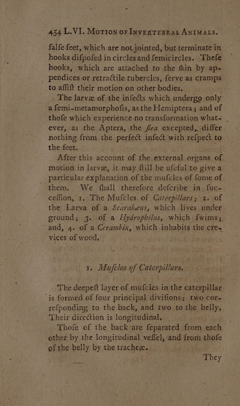 falfe feet, which are not jointed, but terminate in hooks difpofed in circlesand femicircles. Thefe hooks, which are attached to the fkin by ap- _ pendices or retractile tubercles, ferve as cramps to affift their motion on other bodies. The larvæ of the infe&amp;ts which undergo only a femi-metamorphofis, as the Hemiptera; and of thofe which experience no transformation what- _ ever, as the Aptera, the fea excepted, differ nothing from the perfect infect with relret to the feet. After this account of ie external sores of motion in larve, it may ftill be ufeful to give a particular éxplanation of the mufcles of fome of them. We fhall therefore defcribe in fuc- ceffion, 1. The Mufcles of Caterpillars; 2. of the Larva of a Scarabeus, which lives under ground; 3. of a Hydrophilus, which fwims; and, 4. of a Cerambix, which inhabits the cre. vices of wood, I. Mufeles of Caterpillars. | The deepeft layer of mufcles in the caterpillar ‘is formed of four principal divifions; two cor- refponding to the back, and two to the Hels Their direction 1s longitudinal, ei | Thofe of the back are feparated from sak | other by the longitudinal veffel, and from thofe | of the belly by the tracheæ. | | 3 They Nhe neat