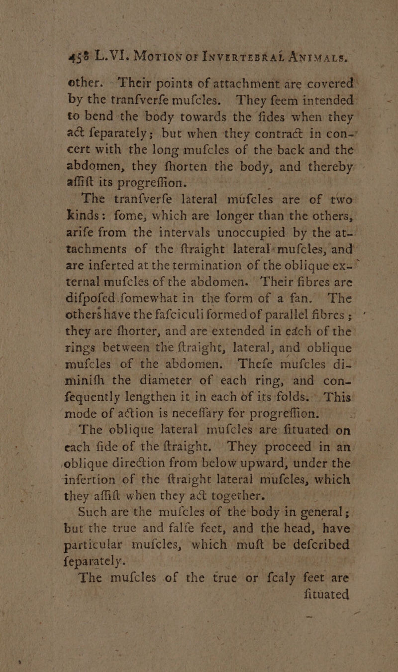 other. - Their points of attachment are covered’ by the tranfverfe mufcles. They feem intended to bend the body towards the fides when they act feparately; but when ‘they contract in con cert with the long mufcles of the back and the abdomen, they fhorten the body, and thereby ~ aflift its progreffion. The tranfverfe lateral müfcles are of two kinds: fome, which are longer than the others, arife from the intervals unoccupied by the at tachments of the ftraight lateral: mufcles, and’ are inferted at the termination of the oblique ex=° ternal mufcles of the abdomen. Their fibres are difpofed fomewhat in the form of a fan. The others have the fafciculi formed of parallel fibres ; ’ they are fhorter, and are extended in each of the: rings between the ftraight, lateral, and oblique . mufcles of the abdomen. Thefe mufcles di- minifh the diameter of each ring, and con- fequently lengthen it in each of its folds. This mode of action is neceflary for progreflion. The oblique lateral mufcles are fituated on each fide of the ftraight. They proceed in an oblique direction from below upward, under the: infertion of the ftraight lateral mufcles, which they affift when they act together. : Such are the mufcles of the body in general ; but the true and falfe feet, and the head, have’ particular muicles, which mult be defcribed feparately. | The mufcles of the true or ‘fealy ‘hae are fituated _