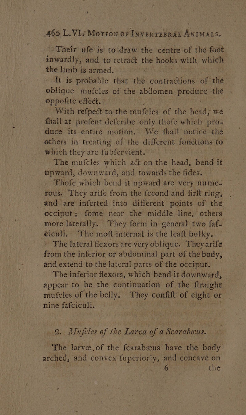 Their ufe is to draw the céntre of the foot inwardly, and to reträct the hooks with, which the limb is armed. : It is probable that the contractions ag He oblique mufcles of the abdomen ea a thé oppofite effect. | With refpet to the muifeles of the head, we fhall at prefent defcribe only thofe which pro- duce its entire motion. We fhall noticé the others in treating of the different functions to which they are fubeevpient., The mufcles which act on the head, bend if upward, downward, and towards the fides. Thofe which bend it upward are very nume- rous. They arife from the fecond and firft ring, occiput; fome near the middle line, others more laterally. They form in general two faf- ciculi. The moft internal is the leaft bulky. + The lateral flexors are very oblique. They arife from the inferior or abdominal part of the body, . and extend to the lateral parts of the occiput. The inferior flexors, which bend it downward, - appear to be the continuation of the ftraight — mufcles of the belly. They confift of eight or nine fafciculi. | is Pe 9. Afufcles of the Larva of a Scarabæus. The larvæ.of the fcarabæus have the body arched, and convex fuperiorly, and concave on | RY hat