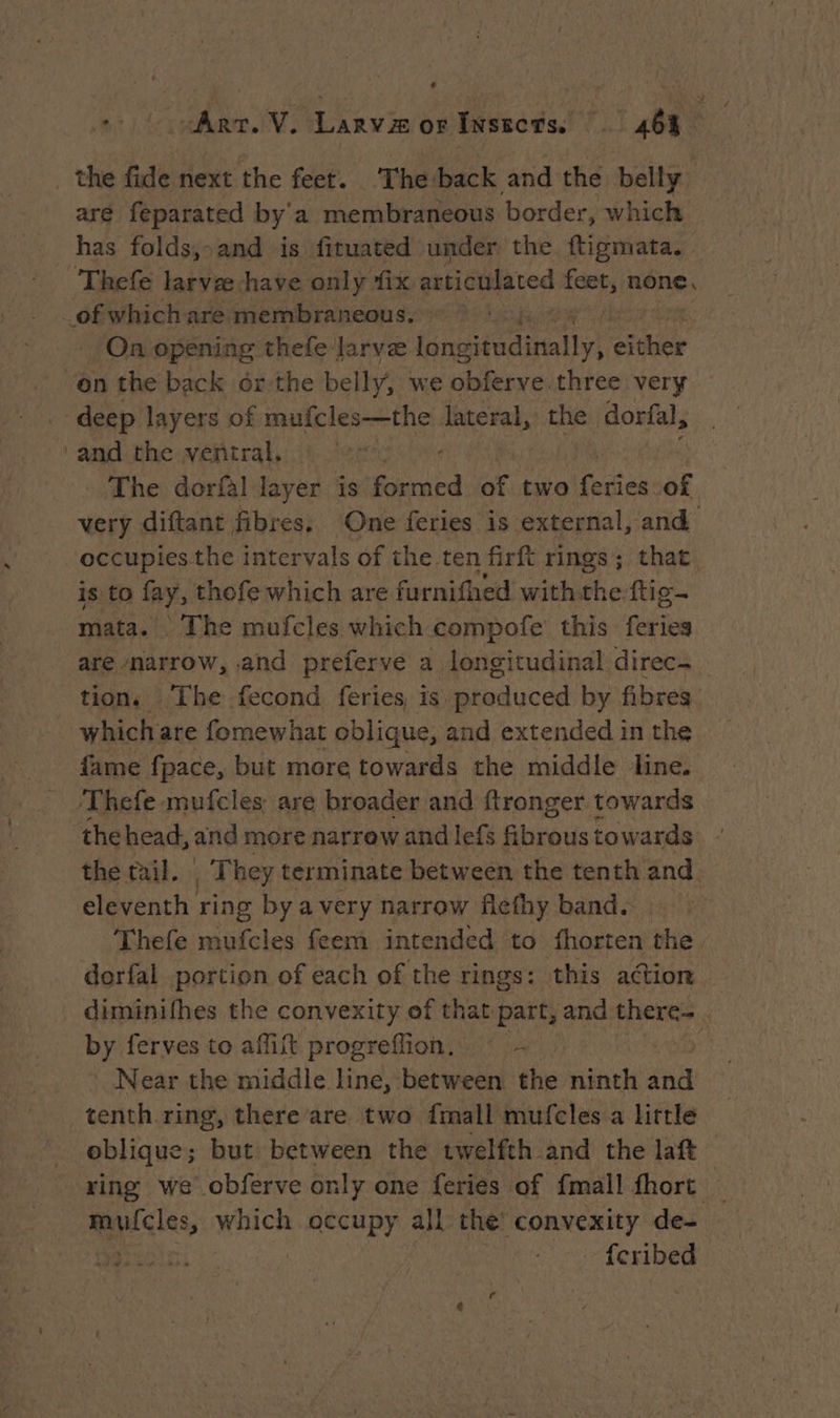 _ the fide next the feet. The back and the belly are feparated by a membraneous border, which has folds,-and is fituated under the ftigmata. . Thefe larvee have only fix articulated feet, none, of which are membraneous. | On opening thefe Jarvæ orale either ‘on the back dr the belly, we obferve three very deep layers of mufcles—the lateral, the dorfal, and the ventral, The dorfl layer is formed af .twe (ir of very diftant fibres: One feries is external, and occupies the intervals of the ten firft rings ; that is to fay, thofe which are furnifhed with the ftie- mata. The mufcles which compofe’ this ei are narrow, and preferve a longitudinal direc- tion. The fecond feries, is produced by fibres _ which are fomewhat oblique, and extended in the fame fpace, but more towards the middle line. Thefe mufcles are broader and ftronger towards the head, and more narrew and lefs Ghraus towards the tail. | They terminate between the tenth and eleventh ring by avery narrow flefhy band. Thefe mufcles feem intended to fhorten the dorfal portion of each of the rings: this ation — _ diminifhes the convexity of that part, and there- by ferves to afiit progreffion. ~ - i Near the middle line, between the ninth ha _tenth.ring, there are two {mall mufcles a little oblique; but between the twelfth and the laft ring we obferve only one feries of fmall fhort _ maiclas, which SNS all the’ convexity de- sein.” feribed |