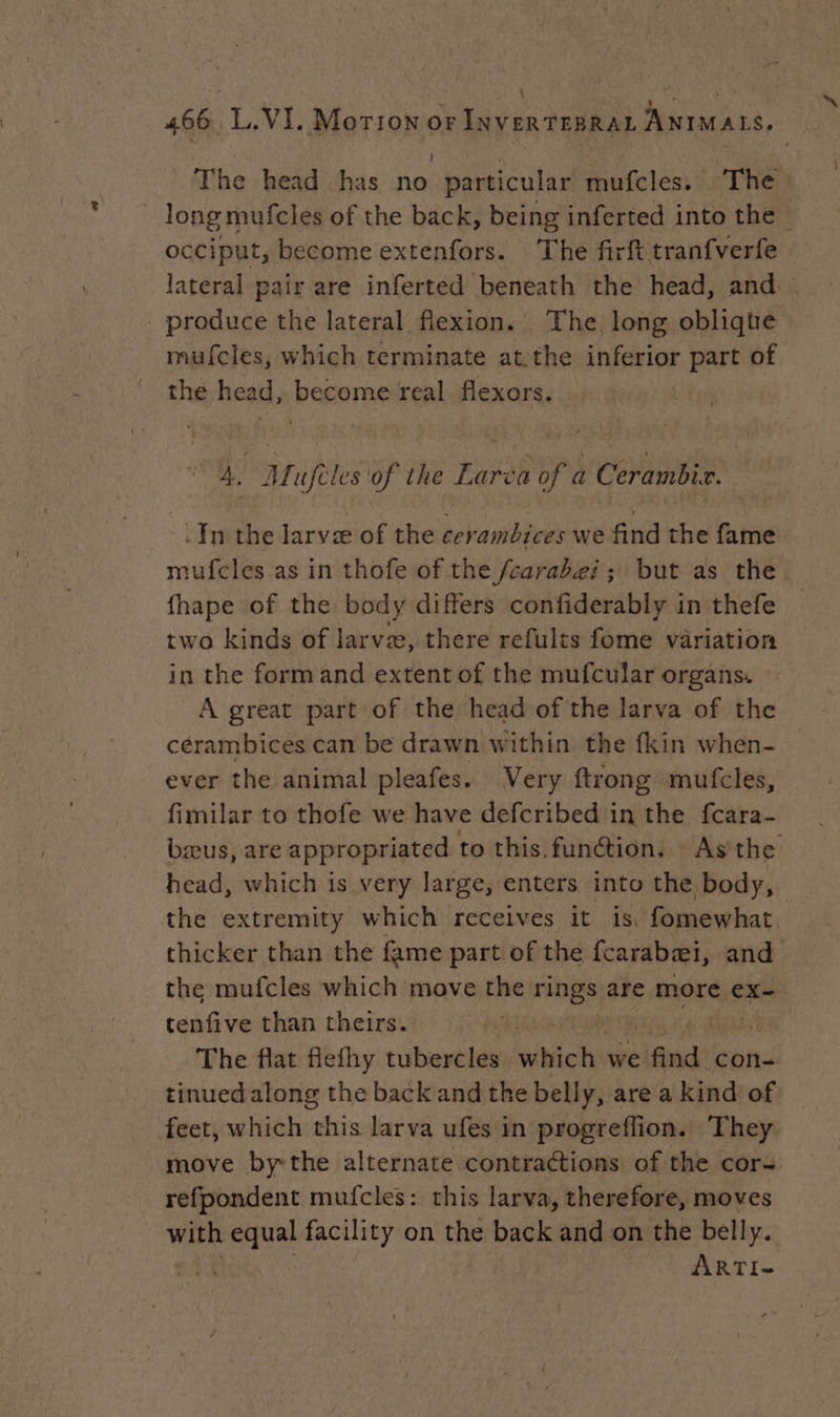 The head has no particular mufcles. The : ~ long mufcles of the back, being inferted into the — occiput, become extenfors. The firft tranfverfe lateral pair are inferted beneath the head, and _ produce the lateral flexion. The long oblique mufcles, which terminate at the inferior part of the head, become real flexors. A. Mufèles of the Larva of a Cerambiz. . In the larvæ of the cerambices we find the fame mufcles as in thofe of the /earabei; but as the fhape of the body differs confiderably in thefe two kinds of larvæ, there refults fome variation in the formand extent of the mufcular organs. A great part of the head of the larva of the cérambices can be drawn within the fkin when- ever the animal pleafes. Very {trong mufcles, fimilar to thofe we have defcribed in the fcara- bæus, are appropriated to this. function. As the head, which is very large, enters into the body, the extremity which receives it is. fomewhat thicker than the fame part of the fcarabæi, and the mufcles which move the vue are more ex= tenfive than theirs. The flat flefhy tubercles bic we find con- tinued along the back and the belly, are a kind of feet, which this larva ufes in progreflion. They: move bythe alternate contractions of the cor- refpondent mufcles: this larva, therefore, moves with equal facility on the back and on the belly. ARTI-