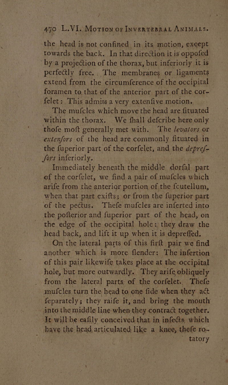 J 470 i Me, Vi. Morion or INVERTEBRAL ANIMALS. the head is not confined in its motion, except towards the back. In that direction it is oppofed by a projection of the thorax, but inferiorly it is perfectly free. . The membranes or ligaments extend from the circumference of the occipital foramen to, that of the anterior part of the cor- felet: This admits a very extenfive motion. _.. The mufcles which move the head are fituated within the thorax. We fhall defcribe here only thofe moft generally met with. The /evasors or extenfors of the head are commonly fituated in . the fuperior part of the corfelet, and the depre/- Jors inferiorly. | Immediately beneath the middle sani part of the corfelet, we find a pair of mufcles which arife from the anterior portion of the fcutellum, when that part exifts; or from the fuperior part of the pectus. Thefe mufcles are inferted into the pofterior and fuperior part of the head, on the edge of the occipital hole: they draw the head back, and lift it up when it is depreffed. On the lateral parts of this firft pair we find another which is more flender: The infertion of this pair likewife takes place at the occipital hole, but more outwardly. They arife obliquely — from the lateral parts of the corfelet. Thefe mufcles turn the head to one fide when they act feparately; they raife it, and bring the mouth into the middle line when they contract together. Tt will be eafily conceived that in infects, which have the head, articulated like a knee, thefe ro. _ tatory