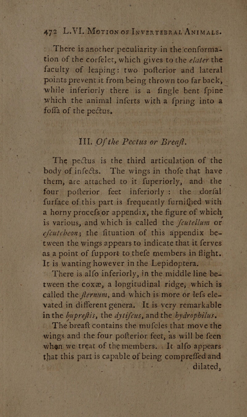 There is another peculiarity in the‘conforma- _ tion of the corfelet, which gives to the eater the faculty of leaping: two pofterior and lateral points prevent it from being thrown too far back, while inferiorly there is a fingle bent Mint which the animal inferts with a {pring into a -foffa of the pectus, | ( Ill. Ofthe Pectus or Breaft. The pectus is the third articulation of the body of infects. The wings in thofe that have . them, are attached to it fuperiorly, and the ~ four pofterior feet inferiorly; the dorfal furface of this part is frequently furnifhed with a horny procefs or appendix, the figure of which is various, and which 1s called the /cutellum or efcutcheon; the fituation of this appendix be- ‘tween the wings appears to indicate that it ferves as a point of fupport to thefe members in flight. -It is wanting however inthe Lepidoptera. There is alfo inferiorly, in the middle line be- tween the coxæ, a longitudinal ridge, which is called the feraum, and which is more or lefs ele- — vated in different genera. It is very remarkable inthe dupreftis, the dytifeus, and the hydrophilus. The breaft contains the mufeles that move the wings and the four pofterior feet, as will be feen when. we'treat of the members. It alfo appears ; that this pa is capes of DE comprefied and . dilated,
