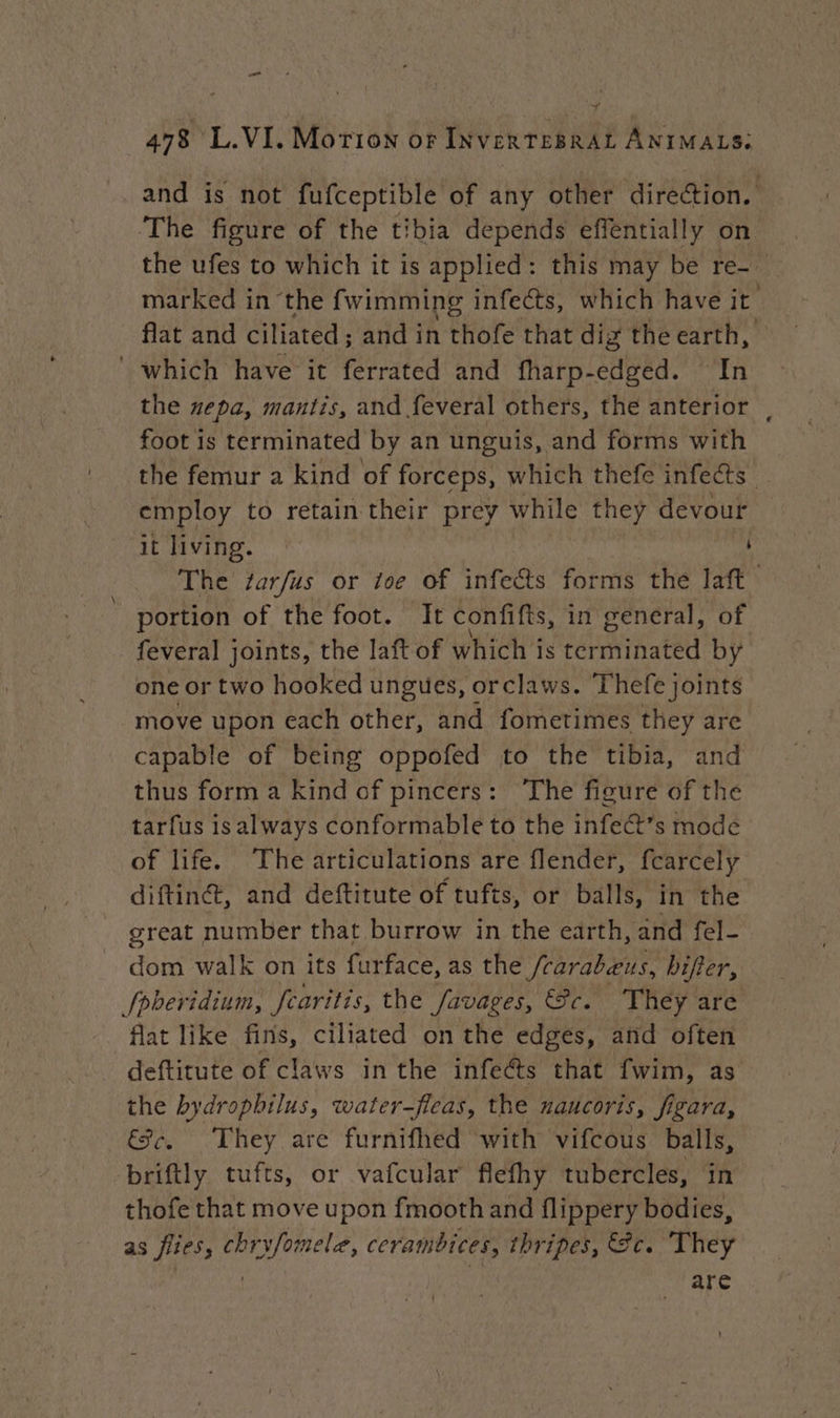 + 478 L.VI. Morion of INVERTEBRAL ANIMALS: and is not fufceptible of any other direction. The figure of the tibia depends effentially on the ufes to which it is applied: this may be re-_ marked in the fwimming infects, which have it flat and ciliated; and in thofe that diz the earth, which have it ferrated and fharp- adpea: pps the #epa, mantis, and feveral others, the anterior foot is terminated by an unguis, and forms with the femur a kind of forceps, which thefe infects. employ to retain their prey while they devour it living. The ¢arfus or ioe of infects forms the laft portion of the foot. It confifts, in general, of feveral joints, the laft of which is Fe atel by one or two hooked ungues, orclaws. Thefe joints move upon each otfler! and fometimes they are capable of being oppofed to the tibia, and thus form a kind of pincers: The figure of the tarfus isalways conformable to the infect’s mode of life. The articulations are flender, fcarcely diftiné, and deftitute of tufts, or balls, in the great number that burrow in the earth, and fel- dom walk on its furface, as the AE enr bifier, fbberidium, fcaritis, the favages, &amp;c. ‘They are flat like fins, ciliated on the edges, and often deftitute of claws in the infe@s that fwim, as the bydrophilus, water-fleas, the naucoris, Jigara, €c. They are furnifhed with vifcous balls, briftly tufts, or vafcular flefhy tubercles, in thofe that move upon fmooth and flippery bodies, as flies, chryfomele, cerambices, thripes, Gc. They | are ‘