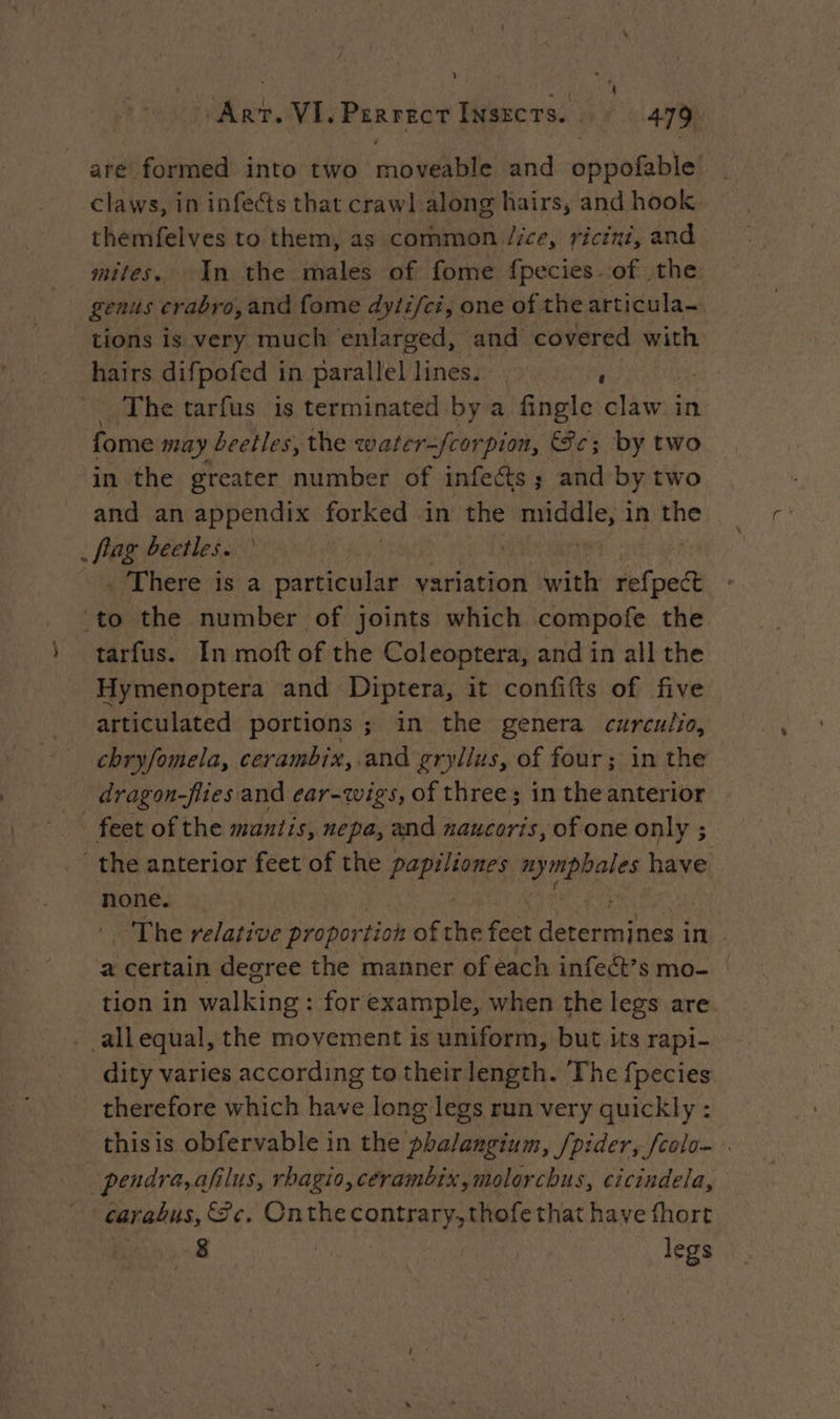 ) } are formed into two mobi and sppohieiat claws, in infects that crawl along hairs, and hook themfelves to them, as common /ice, ricini, and mites. In the males of fome fpecies-of the genus crabro, and fome dyti/ci, one of the articula~ tions is very much enlarged, and covered ul | ‘ The tarfus is terminated by a fingle claw in fome may beetles, the water-fcor pion, (Fe; by two in the greater number of infects; and by two and an appendix forked in the ghana ag in ules . fag beetles. There is a particular variation with tel ped tarfus. In moft of the Coleoptera, and in all the Hymenoptera and Diptera, it confifts of five articulated portions ; in the genera curculio, chryfomela, cerambix, and gryllus, of four; in the dragon-flies and ear-wigs, of three; in the anterior feet of the maniis, nepa, and naucoris, of one only ; the anterior feet of the poplin: nympbales have none. The relative proportion of the feet Ep AE ts a certain degree the manner of each infect’s mo- | tion in ulkings for example, when the legs are allequal, the movement is uniform, but its rapi- dity varies according to their length. The fpecies therefore which have long legs run very quickly : thisis obfervable in the phalangium, /pider, fcolo- . carabus, fe, Onthe contrary, thofe that have fhort 8 Wa | legs
