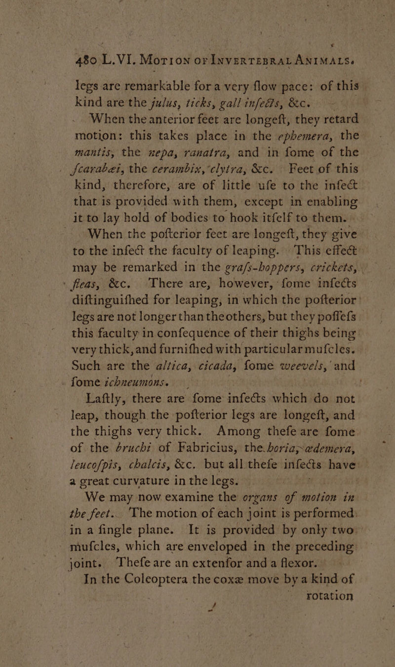 * 480 L.VI. Morron oFINvERTEBRALANIMALS. legs are remarkable for a very flow pace: of this kind are the julus, ticks, gall infed?s, &amp;c. | When the anterior feet are longeft, they retard motion: this takes place in the ephemera, the mantis, the nepa, ranatra, and in fome of the … {carabæi, the cerambix,clytra, &amp;c. Feet of this kind, therefore, are of little ufe to the infect that is provided with them, except in enabling it to lay hold of bodies to hook itfelf to them. When the pofterior feet are longeft, they give to the infect the faculty of leapiay. This effect may be remarked in the gra/s-hoppers, crickets, : fleas, &amp;c. There are, however, fome infects diftinguifhed for leaping, in which the pofterior: legs are not longerthantheothers, but they poffefs — this faculty in confequence of their thighs being very thick, and furnifhed with particularmufcles. Such are the altica, cicada, fome Verts and . fome ichneumons. Laftly, there are fome infects which do not leap, though the pofterior legs are longeft, and the thighs very thick. Among thefe are fome of the éruchi of Fabricius, the horia; œdemera, leucofpis, chalcis, &amp;c. but all thefe sap en have a great curvature in the legs. We may now examine the organs of motion in the feet.. ‘The motion of each joint is performed: in a fingle plane. It is provided by only two. - mufcles, which are enveloped in the preceding joint. Thefeare an extenfor and a flexor. In the Coleoptera the coxe move by a kind of rotation 4 La