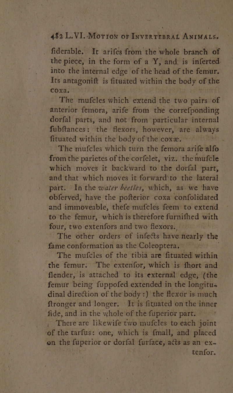 482 L.VI.-Morron or INVÉRTEBRAL ANIMALS. fiderable. It arifes from the whole branch of the piece, in the form of a Y, and: is inferted. into the internal edge of the head of the femur. Its antagonift is ficaated within the ut Ses the coxa. The mufcles which extend the two pairs de anterior femora, arife from the correfponding dorfal parts, and not from particular internal fubftances: the flexors, however, are vical fituated within the body of the coxa. | The mufcles which turn the femora arife alfo from the parietes of the corfelet, viz. the mufcle which moves it backward to the dorfal ‘part, and that which moves it forward'to the lateral part. In the water beetles, which, as. we ‘have obferved, have the pofterior coxa confolidated and immoveable, thefe mufcles feem to extend to the femur, which is therefore furnifhed with four, two extenfors and two flexors. The other orders of infects have nearly the fame conformation as the Coleoptera, | The mufcles of the tibia are fituated within the femur: The extenfor, which is fhort and _flender, is attached to its external edge, (the femur being fuppofed extended in the longitu dinal Aaedion of the body :) the flexor is itch ftronger and longer. It is fituated on the inner fide, and in the whole of the fuperior part. , There are likewife two mufcles to each joint ‘of the tarfus: one, which is fmall, and placed on the fuperior or dorfal furface, acts as an ex- tenfor. FA: