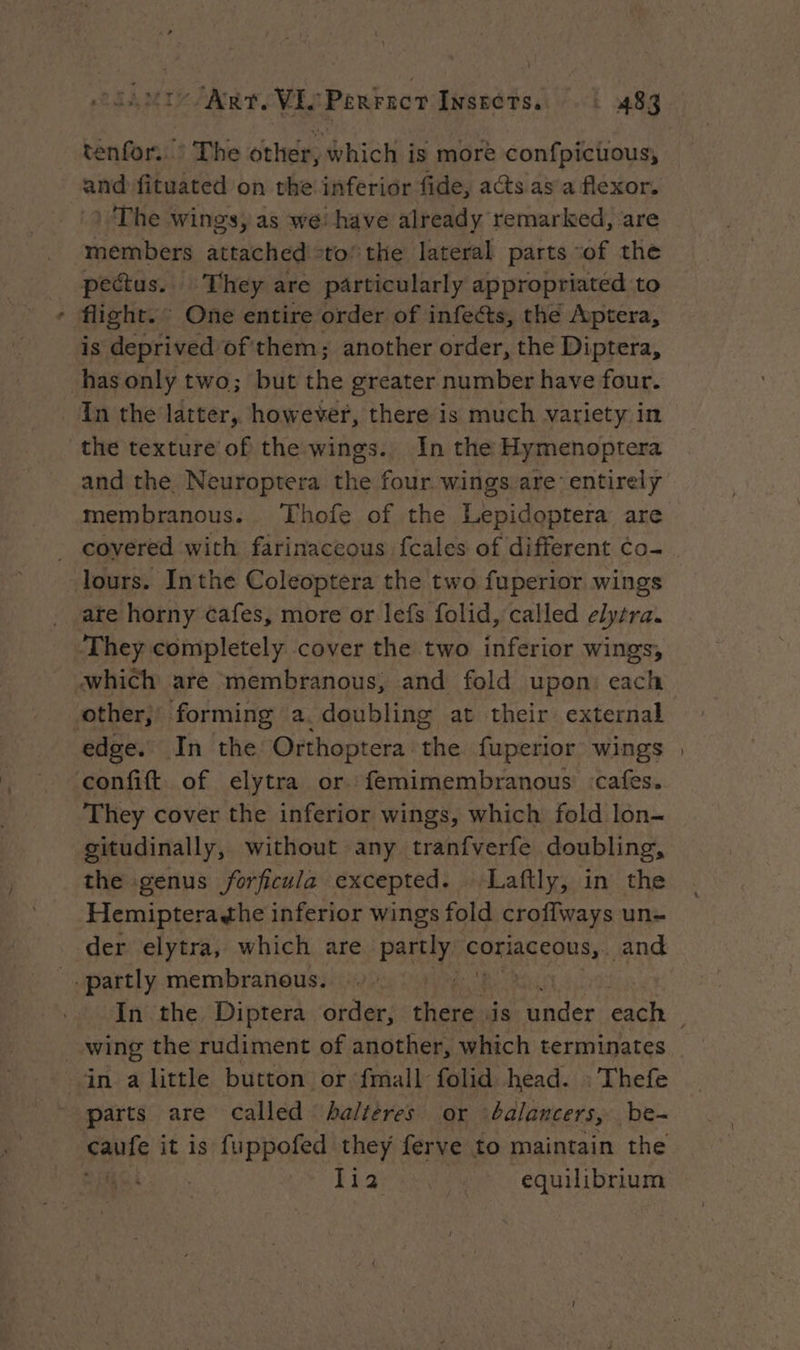 tenfor..’ The other, which is more confpicuous, and fituated on the inferior fide, acts as a flexor. -) The wings, as we! have already remarked, are members attached -to the lateral parts “of the pectus. They are particularly appropriated to flight. One entire order of infects, the Aptera, is deprived of'them; another order, the Diptera, hasonly two; but the greater number have four. In the latter, however, there is much variety in the texture of the wings. In the Hymenoptera and the Neuroptera the four wings are’ entirely membranous. Thofe of the Lepidoptera are covered with farinaceous fcales of different ¢o- Jours. Inthe Coleoptera the two fuperior wings ate horny cafes, more or lefs folid, called elytra. ‘They completely cover the two inferior wings, which are membranous, and fold upon: each other,’ forming a.doubling at their external edge. In the Orthoptera ‘the fuperior wings confift of elytra or. femimembranous :cafes. They cover the inferior wings, which fold lon- gitudinally, without any tranfverfe doubling, the genus forficula excepted. Laftly, in the Hemiptera¢he inferior wings fold crofiways un der elytra, which are partly coriaceous, and partly membranous. - Aid in a little button or: fmall- folid head. : Thefe parts are called baltères or balancers, be- Fours it is fuppofed they ferve to maintain the 2) : fist equilibrium