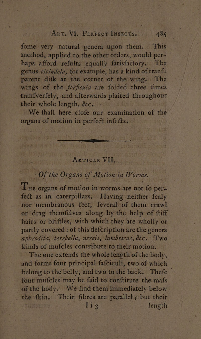 fome very natural genera upon them. This method, applied to the other orders, would per- haps afford refults equally fatisfaétory. The genus cicindela, for example, has a kind of tranf- parent difk at the corner of the wing. The | wings of the forficula are folded three times tranfverfely, and afterwards plaited throughout their whole length, &amp;c. | We fhall here clofe our examination of the organs of motion in perfect infects. rc I ace 3 7 À 1 ARTICLE VIF. - Of the Organs à Motion in (4 orms. Dis organs of motion in worms are not io per- fect as in caterpillars. Having neither fcaly - nor membranous feet, feveral of them crawl or drag themfelves along by the help of ftiff hairs or briftles, with which they are wholly or partly covered : of this defcription are the genera _ aphrodita, terebella, nereis, lumbricus, &amp;c. Two kinds of mufcles contribute to their motion. | The one extends the whole length of the body, | and forms four principal fafciculi, two of which belong to the belly, and two to the back. Thefe | four mufcles may be faid to conftitute the mafs of the body. We find them immediately below the fkin. Their fibres are parallel; but their ist | Ti Jength
