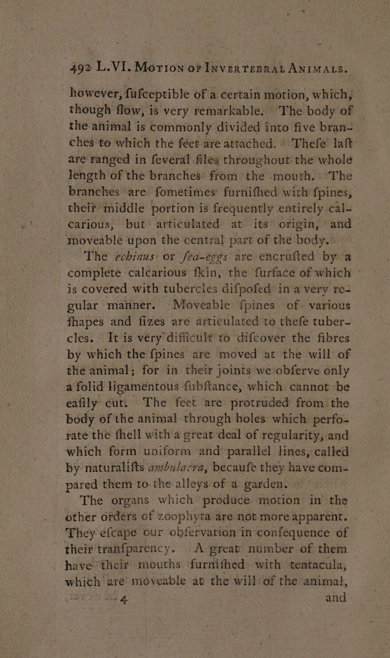 however, fufceptible of a certain motion, which, though flow, is very remarkable. The body of — the animal is commonly divided into five bran- ches to which the féet are attached. : Thefe laft: are ranged in feveral files throughout the whole length of the branches from the mouth. ‘The branches are fometimes furnifhed with fpines, their middle portion is frequently entirely cal- carious, but articulated at its origin, and moveable upon the central part of the body.’ The echinus: or fea-eggs are encrufted by a complete calcarious fkin, the furface of which : is covered with tubercles difpofed in a very re- gular manner. Moveable fpines of various fhapes and fizes are articulated to thefe tuber- cles. It is very difficult to difcover the fibres by which the fpines are moved at the will of the animal; for in their joints we obferve only _ a folid ligamentous fubftance, which cannot be eafily cut, The feet are protruded from the body of the animal through holes which perfo- rate the fhell with'a great deal of regularity, and which form uniform and parallel lines, called by naturalifts ambulacra, becaufe they have com- pared them to.the alleys of a garden. ; The organs which produce motion in the other orders of zoophyta are not more apparent. - ‘They efcape our obfervation in confequence of their tranfparency. A great number of them — have ‘their mouths furnifhed with tentacula, which are moveable at the will of the animal, lé 4 ; and -