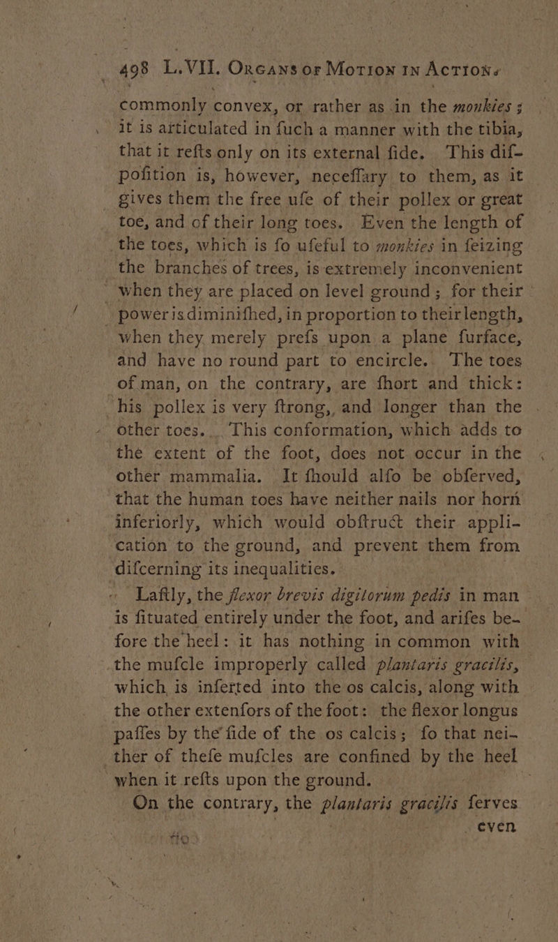 commonly convex, or rather as in the moukies ; it is articulated in fuch a manner with the tibia, that it refts only on its external fide. This dif- pofition is, however, neceflary to them, as it gives them the free ufe of their pollex or great ‘toe, and of their long toes. Even the length of the toes, which is fo ufeful to monkies in feizing the branches of trees, is extremely inconvenient when they are placed on level ground; for their : powérisdiminifhed, in proportion to theirlength, when they merely prefs upon a plane furface, and have no round part to encircle. The toes of man, on the contrary, are fhort and thick: his pollex is very ftrong,, and longer than the other toes... This conformation, which adds to the extent of the foot, does not occur in the other mammalia. It fhould alfo be obferved, that the human toes have neither nails nor horn inferiorly, which would obftruét their appli- ‘cation to the ground, and prevent them from difcerning its inequalities. Lafily, the flexor brevis digitorum pedis in man is fituated entirely under the foot, and arifes be. fore the heel: it has nothing in common with the mufcle improperly called plantaris gracilis, which, is inferted into the os calcis, along with the other extenfors of the foot: the flexor longus paffes by the’ fide of the os calcis; fo that nei- _ther of thefe mufcles are confined by the heel when it refts upon the ground. ! 3 On the contrary, the Papers gracilis” ferves even lat Te TRS +o ww
