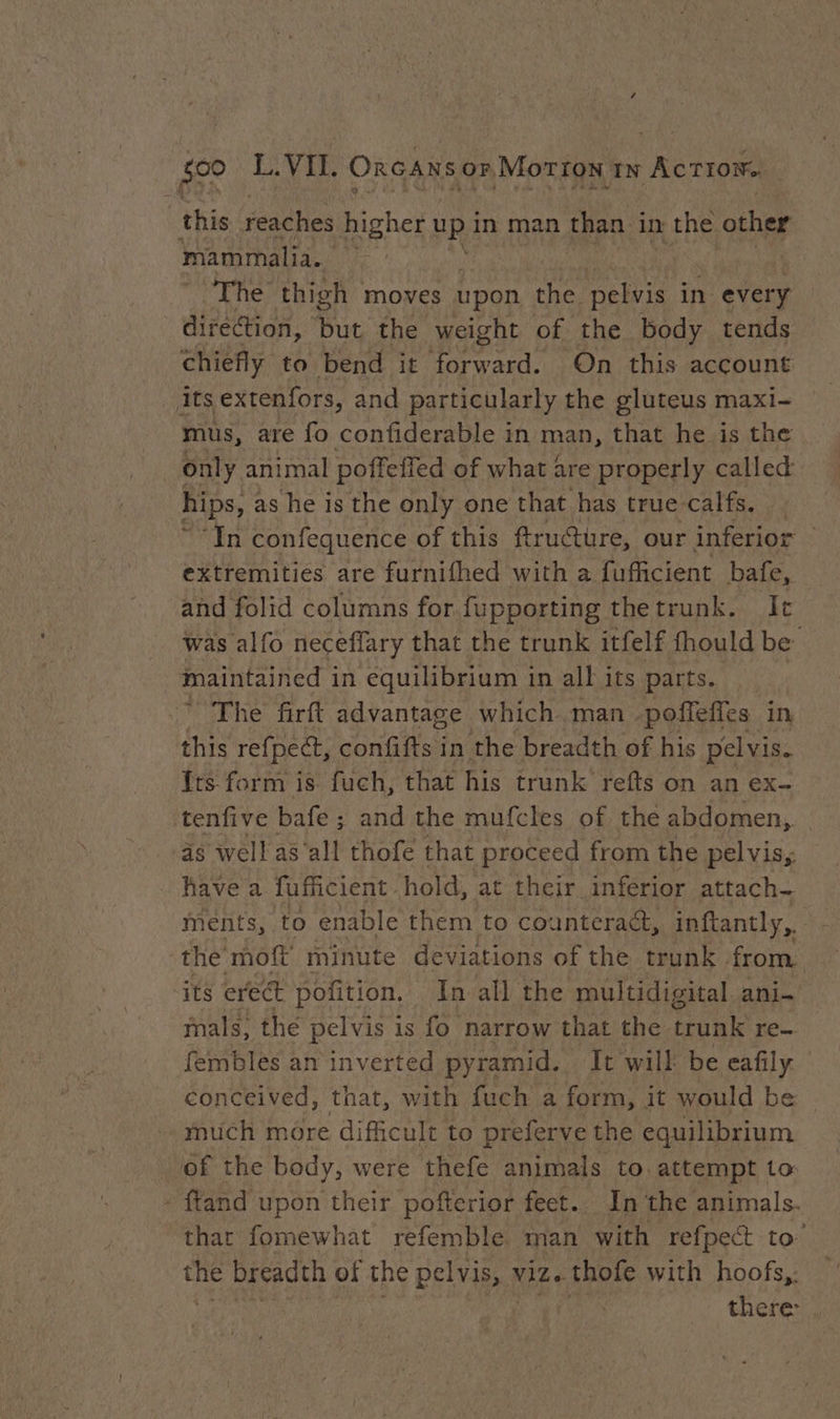 this reaches higher up in man than in the other mammalia. The thigh moves upon the pelvis in every direction, but the weight of the body tends chiefly to bend it forward. ‘On this account its extenfors, and particularly the gluteus maxi- mus, are fo confiderable in man, that he is the only animal poffeffed of what are properly called hips, as he is the only one that has true calfs. _ ‘In confequence of this ftructure, our inferior extremities are furnifhed with a fufficient bafe, and folid columns for fupporting thetrunk. It was alfo neceflary that the trunk itfelf fhould be maintained in equilibrium in all its parts. The firft advantage which man poffeffes in this refpect, confifts in the breadth of his pelvis. Its form is fuch, that his trunk refts on an ex- tenfive bafe ; and the mufcles of the abdomen, as well as all thofe that proceed from the pelvis; have a fufficient hold, at their inferior attach- ments, to enable them to counteract, inftantly, the moft minute deviations of the trunk. from. “its erect pofition. In all the multidigital ani- mals, the pelvis is fo narrow that the trunk re fembles an inverted pyramid. It will be eafily conceived, that, with fuch a form, it would be much more difficult to preferve the equilibrium of the body, were thefe animals to. attempt to: - ftand upon their pofterior feet. In the animals. that fomewhat refemble man with refpect to’ pu breadth of the pelvis, 3 ViZe thofe with hoofs,. there: