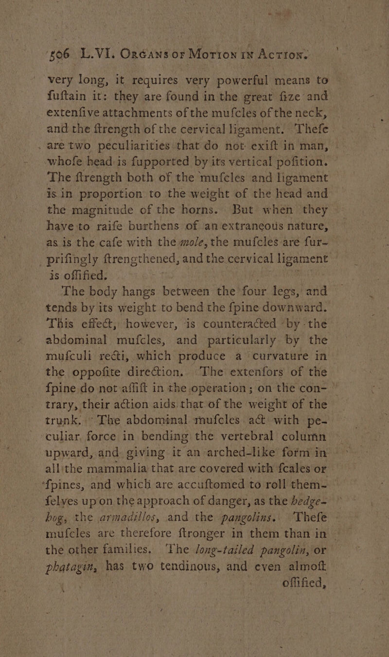 very long, it requires very powerful means to | fuftain it: they are found in the great fize and extenfive attachments of the mufcles of the neck, and the ftrength of the cervical ligament. Thefe The ftrength both of the mufcles and ligament is in proportion to the weight of the head and the magnitude of the horns. But when they have to raife burthens of an extraneous nature, as is the cafe with the mole, the mufcles are fur- is offified. The body hangs between the four legs, and tends by its weight to bend the {pine downward. This effect; however, is counteracted “by the abdominal mufcles, and particularly by the mufculi reéti, which produce a curvature in the oppofite direction. The extenfors of the fpine do not affift in the operation; on the con- * trary, their action aids that of the weight of the trunk. :: The abdominal mufcles act with pe- upward, and giving it an arched-like form in allithe mammalia that are covered with fcales or felves up on the approach of danger, as the bedge- bog, the armadillos, and the pangolins.. Thefe : the other families. ‘The long-tailed pangolin, or phatagin, has two tendinous, and even almoft offified, \