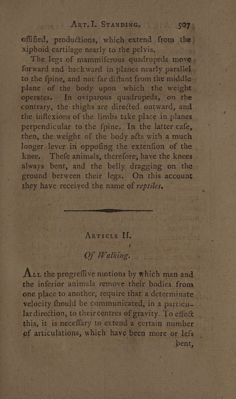 oflified, ‘productions, which extend from 1e) xiphoid cartilage nearly to the pelvis, The legs of mammiferous quadrupeds. move forward anid backward in planes nearly parallel. to the fpine, and not far diftant from the middle: plane of the body upon which the weight, operates.. In oviparous quadrupeds, on the contrary, the thighs are directed outward, and . the inflexions of the limbs take place in planes perpendicular to the fpine. In the latter cafe, then, the weight of. the body acts with a much longer lever in oppofing the extenfion of the knee. Thefe animals, therefore, have the knees always bent, and the belly dragging on the ground between their legs. On this account | they have received the name af reptiles, RACE tt . op | Of Walking. Ar the progreffive motions ty which man and ‘the inferior animals remove their bodies from. one place to another, require that a determinate — velocity fhou]d be communicated, in a particu- lar direction, to theircentres of gravity. To effect this, it is neceffary to extend a certain number of articulations, which have been more.or lefs . bent,