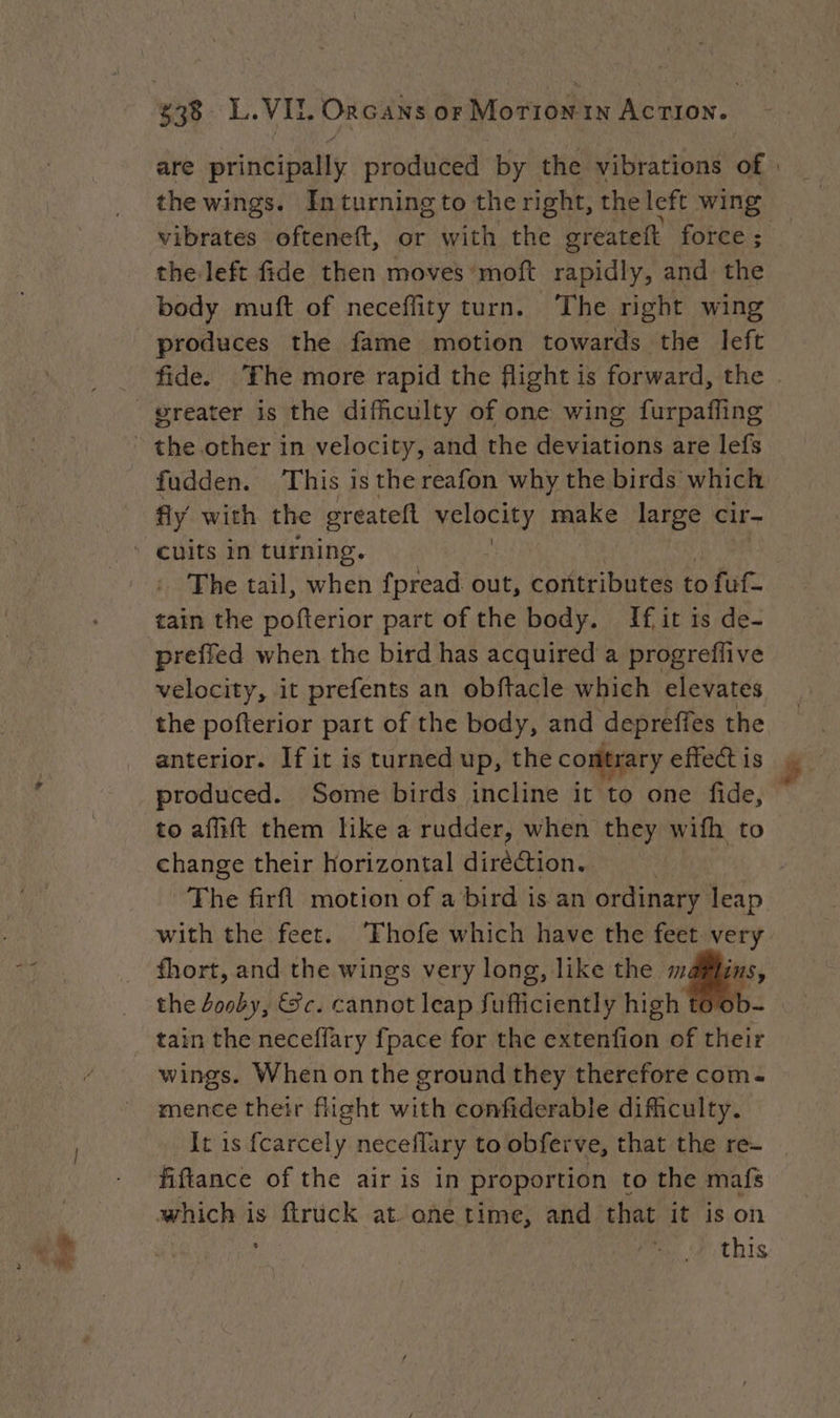are principally produced by the vibrations of | the wings. Inturning to the right, the left wing vibrates ofteneft, or with the greateft force; the left fide then moves moft rapidly, and the body muft of neceffity turn. The right wing produces the fame motion towards the left fide. ‘The more rapid the flight is forward, the | fudden. This is the reafon why the birds which fly with the greateft NHOCNT pare large cir- _ The tail, when fpread out, contributes to fuf- tain the pofterior part of the body. If, it is de- preffled when the bird has acquired a progreflive velocity, it prefents an obftacle which elevates the pofterior part of the body, and depreffes the anterior. If it is turned up, the contrary effect is produced. Some birds incline it to one fide, to affift them like a rudder, when they wifh to change their horizontal dirèction. The firfl motion of a bird is an ordinary leap with the feet. ‘Fhofe which have the feet very the ooby, Sc. cannot leap fufficiently high tain the neceffary fpace for the extenfion of their wings. When on the ground they therefore com- mence their flight with confiderable difficulty. It is fcarcely neceflary to obferve, that the re- | fiftance of the air is in proportion to the mafs which is ftruck at one time, and that it is on this