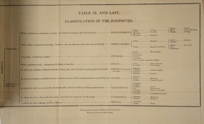 — CLASSIFICATION OF THE ZOOPHYTES. D À | . Echinus .........Urchins. SE ss | Fecha ue nes sn AUFCHIRS cbs STE ze { Ee gk Lan he DER Echini. 0 ; : ky hie . : NT : AMPTIRS = 2a Oa ea yes Star-fifh. EL Spatagus 2c ee Sea ‘, ‘a calcareous or coriaceous covering; the inteftines floating in the internal CAVIDY 2 ¢ alee MN arabes = ECHIN ODERMATA eon nati (gr he | patagus , 114 : . : Sipunçculus 22... Sipuncules.. i A@ini : HET, : 3 ! A@tinia ..........Amemonies. = | | * Wid as ar ae HEMONIE +++ e000++%9 À Zornthus, ja flefhy or gelatinous covering ; inteftines wide and adherent within the mafs of the body------ URTICA-MARINA NEA ne ie Nib ne. xa | Medufa nr ie bees Medufa, or Sea Nettles... 4 Beroe. oo | | Rhizoftoma. 1 (EROTICA Wheel Animals. — i | Brachionus. | _= | Trichocercus. v { nall ~ fwimming in liquors seeeev ere à es 00806000,» ee e © + Se eee * a ee. 08 9 0e ee IN FUSORIA LE PE < Méchodat a Leuchophrus. | And all the other Animalcula Infuforia. : Ss . De hy ie branches a 1e LS, PRO ARR A. Ard Par a DNS DAME ne, USE Hydéa ie Ce Polyps with arms. h a gelatinous body ; propagating by 1oots or branches-+----+-++- | | : cies oa Fcoo oboe — : is, and terminates in pol n its branches : : ZOOPHYTA properly { Flefeularia. which the medullary fubftance traverfes a horny axis, and terminates in polyps upon its branches - - properly.) pubalitis’. 27 AT oe TuBulex Cole ‘4 fo called.+........ À Capfularia. a Sertularia ............ Sea-mofs, 1: : | : ; | : + Cellularia. which each polyp is inclofed in a horny or calcareous cell ; without being conneéted to a medullary axis. ESCARA .......,.. 4 Fiuftra .............. M ait, Ne DAT Corallina rene es Common Corallines. De . ss ; ; ff Antipathes. - 5S : ‘ | Gorgonia. a ‘ - . Corallam Ness. 2e Coral. Which the folid axis is covered with fenfible fleth, from the hollows of which proceed polyps «+++» CERATOPHYTA ++ 2 js. Seat eel | “am 7 Pennatula ..... FAUSR Feather-like Coralline. 4 | mea Veretilbams mess M sers ; es ’ | L'Umbellulas 752 ...« Umbelliferous Coralline. 5 3 | re, | : te Bohan five receptacles for the polyps ses ao RESTE { Madrépora .,.:2. ee Madre à po which the axis or ftony bafis has cavities, Pp polyp LYTHOPHYTA Millepora << 20. 30, Peat taht F 2 DR se : : i f | er Alcyonium, | » : es n which the bafis is fpongy, friable, or fibrous 0e RCE eee» : + a Re 60600000 ee ee e ee SENG LA ee. ee en Spongia. hee Garris he L . Sponge. À < | 3 Byer) | Printed, at the OrxeNTAL Press, by Witson &amp; Co. | | Wild-court, Lincoln’s Inn Fields, London.