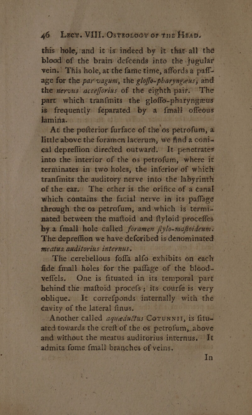 this hole, ‘and it is indeed by it that all thé blood of the brain defcends into the jugular vein. This hole, at the farne time, affords a paff- age for the par'vagum, the gloffo-pharyngens; and — the reruus accefforius of thé eighth pair. ‘The | part which tranfmits the gloffo-phatyngæus is frequently: feparated — by a {mall offeous Jamina. Act the pofterior frac of the os petrofum, a little above the foramen lacerum, we find a coni- cal depreflion directed outward. It penetrates into the interior of the os petrofum, where it terminates in two holes, thé inferior of which tranfmits the auditory nerve into the labyrinth of the ears’ The other is the orifice of a canal which contains the facial nerve in its paflage through the os petrofum, and which is termi- nated between the maftoid and ftyloid proceffes by’a {mall hole called foramen /iylo-maftoidenm: The depreffion we have defcribed is denominated meatus. auditorins internus. The cerebellous foffa alfo exhibits on each fide fmall holes for the paflage of the blood- veffels. One is fituated in its temporal ‘part behind the maftoid procefs; its courfe is very oblique. It correfponds internally with thé cavity of the lateral finus. Another called aqueductus CoTunntt, is fitus : ated towards the creft of the og petrofum,. above and without the meatus auditorius-internus. It admits fome {mall branches of veins. tty ra: | In