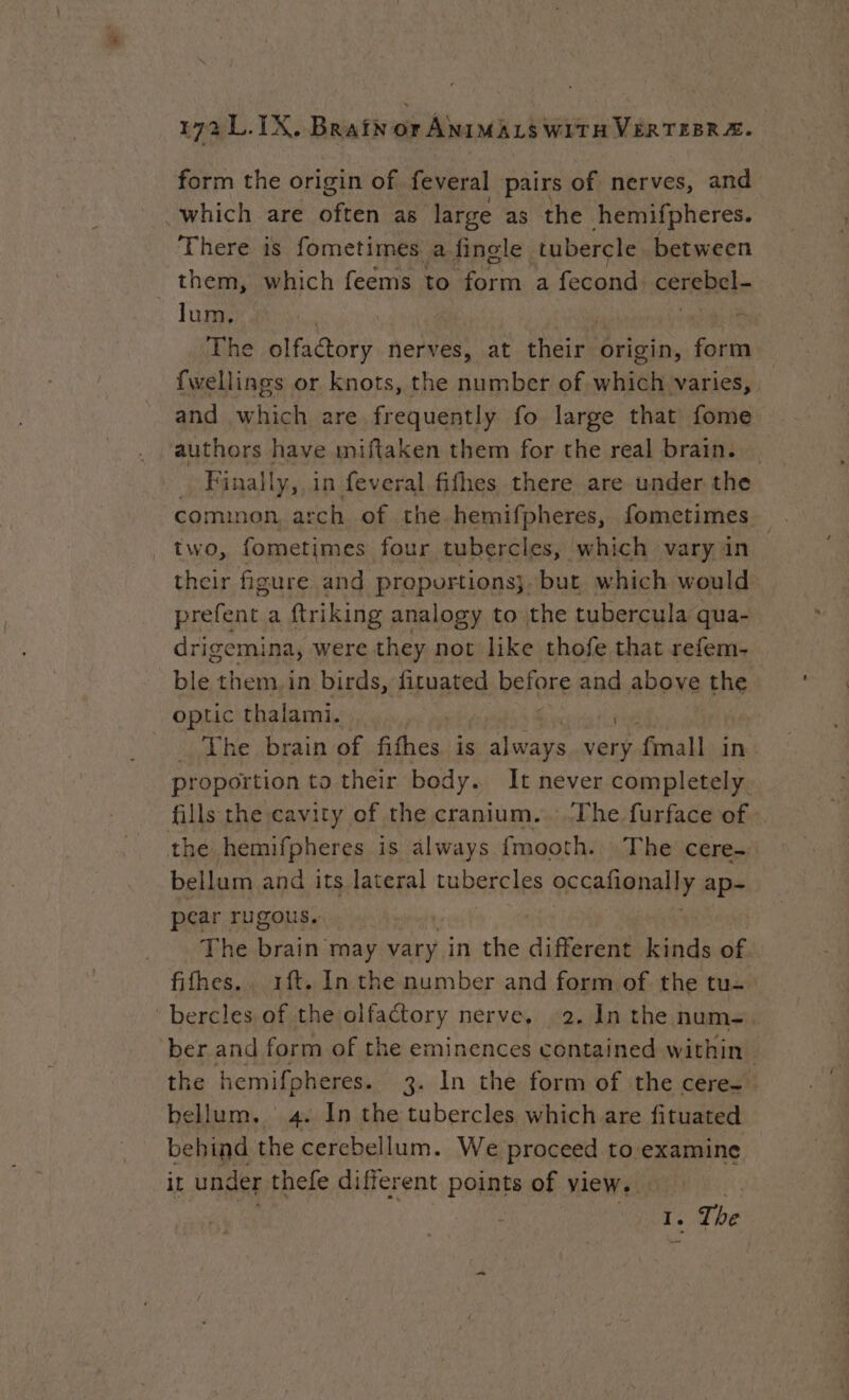 form the origin of feveral pairs of nerves, and which are often as large as the hemifpheres. There is fometimes a fingle tubercle between them, which feems to Fa a fecond cereals lum, bs The olfactory nerves, at their origin, form fwellings or knots, the number of which varies, and which are frequently fo large that fome authors have miftaken them for the real brain. _ Finally, in feveral fifhes there are under the common, arch of the hemifpheres, fometimes two, fometimes four tubercles, which vary in their figure and proportions}. but which would prefent. a ftriking analogy to the tubercula qua- drigemina, were they not like thofe that refem- Hé them. in birds, fituated before and above the optic thalami. _ The brain of fifhes is ide very fmall in proportion to their body. It never completely fills the cavity of the cranium. The furface of the hemifpheres is always {mooth. The cere- bellum and its lateral tubercles occalianally: ap- pear rugous. | The Did may vary in the different kinds of fifhes.. 1ft. In the number and form of the tu= bercles of the olfactory nerve, 2. In the num=. ber and form of the eminences contained within. the era 3. In the form of the cere- bellum. 4. In the tubercles which are fituated behind the sh ri We proceed to examine it under thefe different points of view... Rs Tar pe