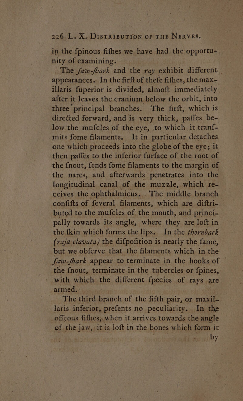 in the fpinous fifhes we have had the opportu- nity of examining. The /aw-/hark and the ray exhibit different. appearances. In the firft of thefe fifhes, the max- illaris fuperior is divided, almoft immediately after it leaves the cranium below the orbit, into three principal branches. The firft, which is directed forward, and is very thick, paffes be- low the mufcles of the eye, to which it tranf- mits fome filaments. It in particular detaches one which proceeds into the globe of the eye; it then paffes to the inferior furface of the root of the fnout, fends fome filaments to the margin of the nares, and afterwards penetrates into the longitudinal canal of the muzzle, which re- _ ceives the ophthalmicus. . The middle branch — confifts of feveral filaments, which are diftri- buted to the mufcles of the mouth, and princi- pally towards its angle, where they are loft in the {kin which forms thelips. In the rhornback (raja clavata) the difpofition is nearly the fame, but we obferve that the filaments which in the faw-foark appear to terminate in the hooks of © the fnout, terminate in the tubercles or fpines, with which the different fpecies of rays are armed. ’ The third peach of the fifth pair, or ae laris inferior, prefents no peculiarity. In the _offcous fifhes\. when it arrives towards the angle of the jaw, it is loft 1 in the bones w high form it by