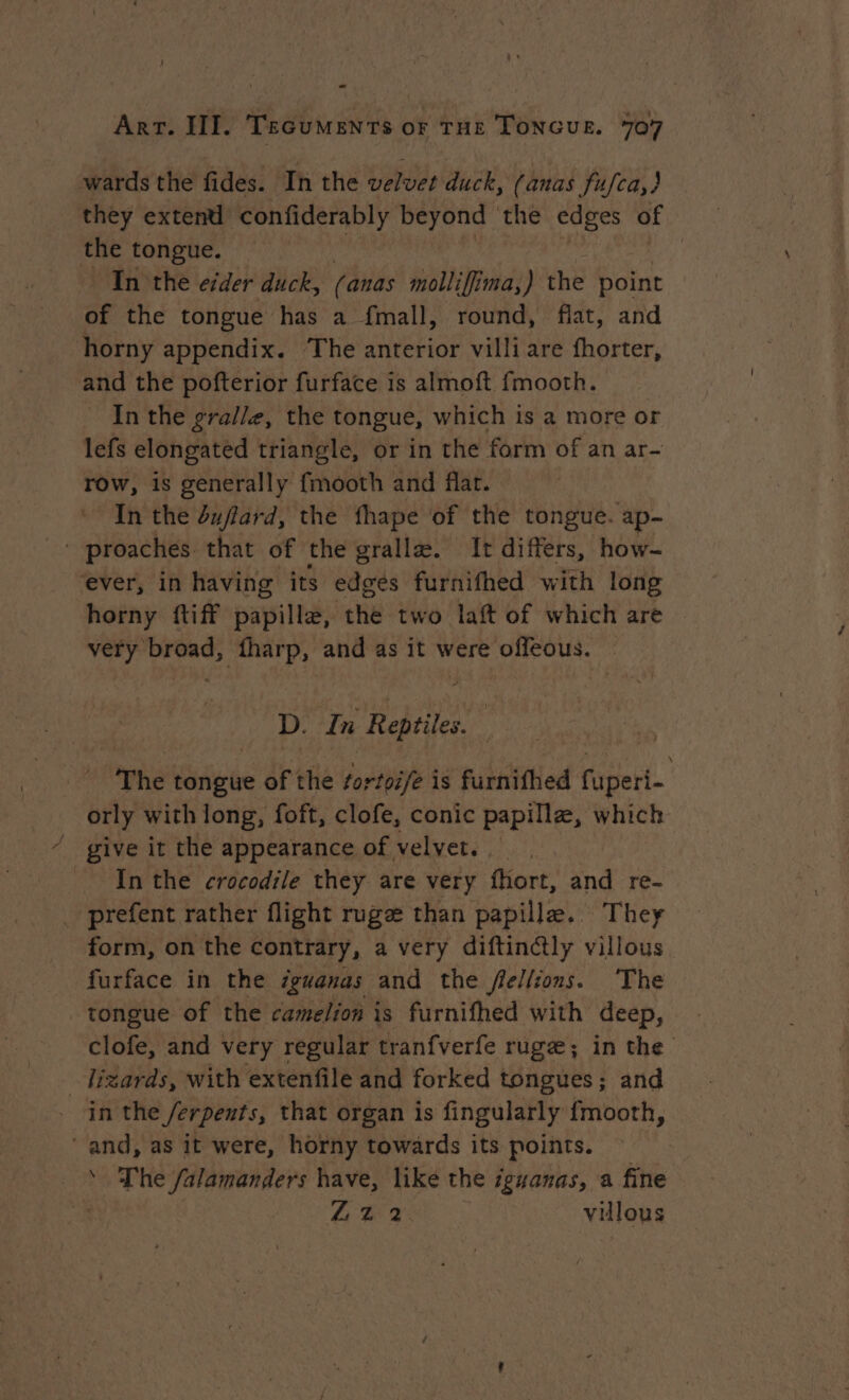 wards the fides. In the velvet duck, (anas fufca,) they extend confiderably beyond the ME) of the tongue. In the eider duck, (anas molliffima,) the point of the tongue has a fmall, round, flat, and horny appendix. The anterior villi are fhorter, and the pofterior furface is almoft fmooth. _ Inthe gralle, the tongue, which is a more or lefs elongated triangle, or in the form of an ar- row, is generally fmooth and flar. In the duftard, the fhape of the tongue. ap- - proaches. that of the grallæ. It differs, how- “ever, in having its edges furnifhed with long horny {tiff papille, thé two laft of which are very broad, fharp, and as it were offeous. | D. In Reptiles. The tongue of the ortoi/e is furnifhed fuperi- orly with long, foft, clofe, conic papille, which give it the appearance of velvet. _ In the crocodile they are very fhort, and re- _ prefent rather flight ruge than papille. They form, on the contrary, a very diftinctly villous furface in the iguanas and the fellions. The tongue of the camelion is furnifhed with deep, clofe, and very regular tranfverfe rugæ; in the lizards, with extenfile and forked tongues ; and . gn the /erpents, that organ is fingularly {mooth, ‘and, as it were, horny towards its points. * The falamanders have, like the iguanas, a fine a Lh 2 | villous