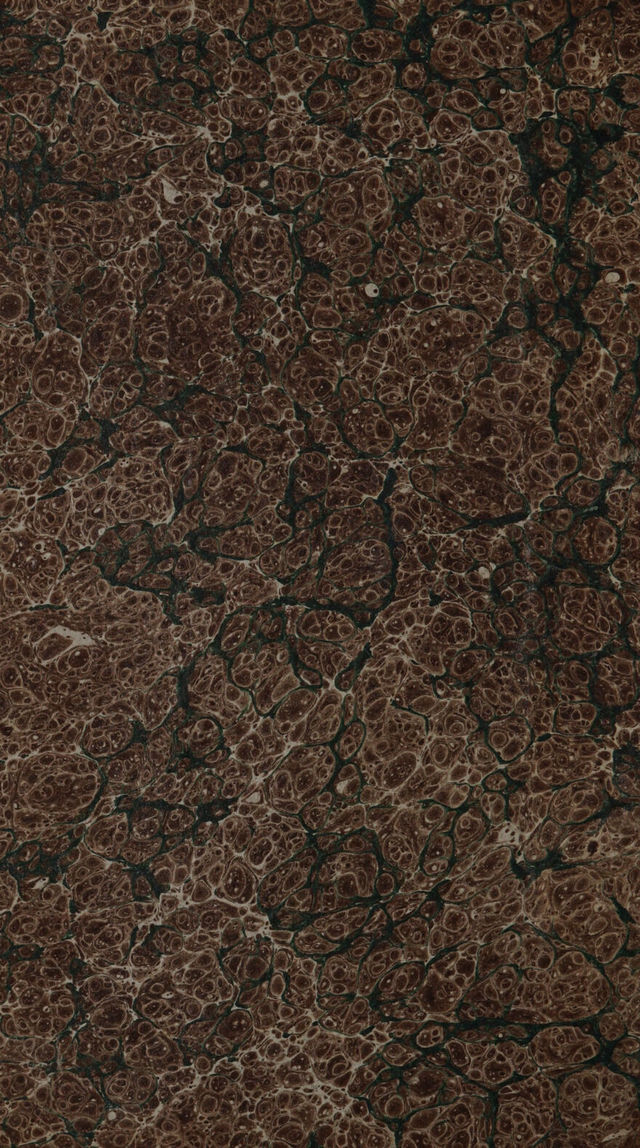 digitised image 2
