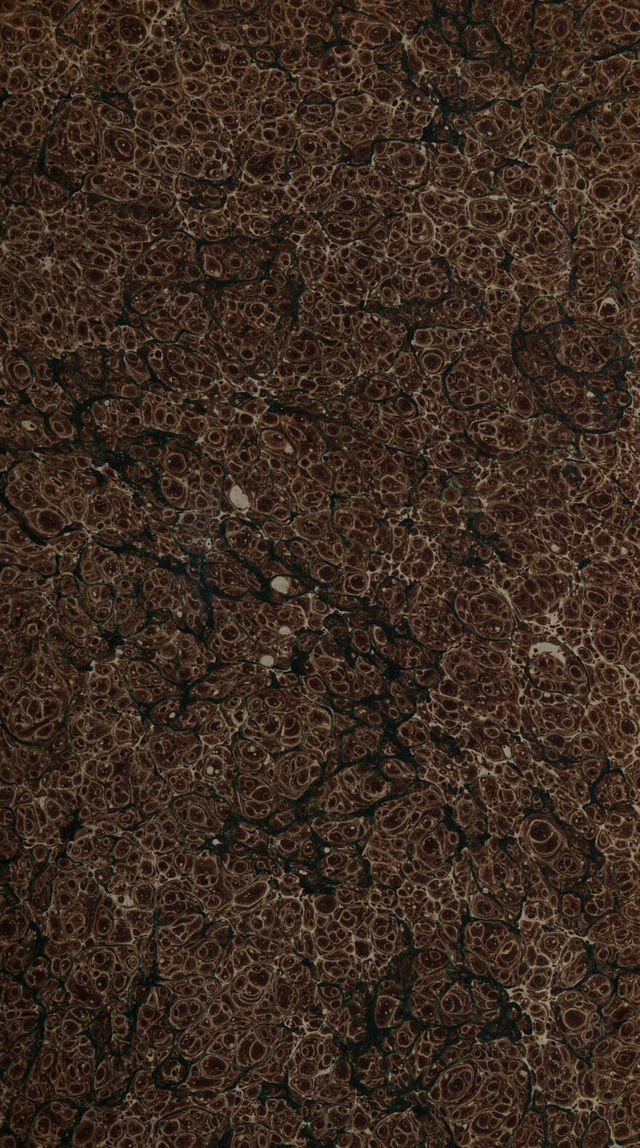 digitised image 3