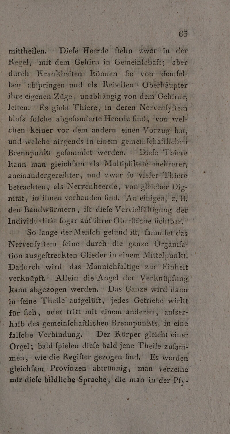 65 mittheilen. Diefe Heerde ftehn zwarin der Regel, mit dem Gehirn in Gemeinfchaftz aber dürch. Krankheiten können Ge von 'demfel- ben abfpringen und als Rebellen ’- Oberhäupter ihre eigenen Züge, unabhängig von dem Gelürne, leiten. Es giebt Thiere, in deren Nervenfyfiem blofs folche abgefonderte Heerde find, von wel- chen keiner vor dem andern einen Vorzug‘ hat, ‚und welche nirgends in einem gemeinfch ‚aftlichen Brenhpunkt gefammlet werden. ' Diefe T'hiere kann man gleichfam als Multiplikate mehrerer, aneinandergereihter, und zwar fo vieler Dhjere betrachten; als Nervenheerde, von gleicher Dig- nität, in'ihnen vorha auden lind. An einigen, z, B, den Bandwürmern, ift diele Vervielfältigung der Individualität fogar aäf ihrer Oberfläche fichthar. So lange der Menfch gefund iti, Tamnilet das Nervenlyftem feine durch die ganze Orpänifa- tion ausgeltreckten Glieder in einem Mittelpunkt. Dadurch wird das Mannichfaltige zur Einheit verknüpft. Allein die Angel der Verknüpfung kann abgezogen werden. Das Ganze wird dann in feine Theile’ aufgelöft, jedes Getriebe wirkt für fich, oder tritt mit einem anderen, aufser- - halb des semeinfchaftlichen Brennpunkts, in eine falfche Verbindung. Der Körper gleicht einer Orgel; bald fpielen diefe bald jene Theile zufam- men, wie die Regifter gezogen find. Es werden ‚gleichfam. Provinzen abtrünnig, man verzeihe mir diefe bildliche Sprache, die man in der Piy-