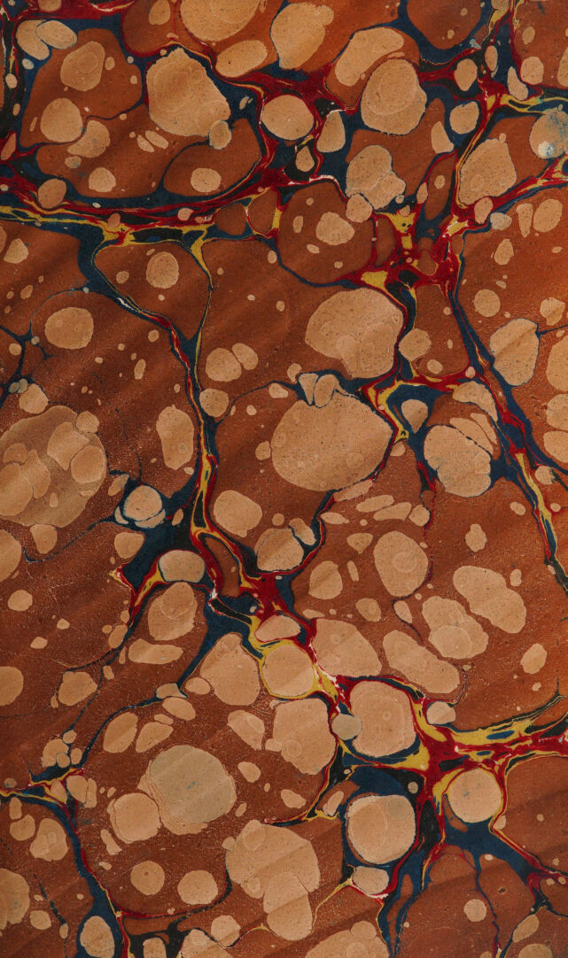 No text description is available for this image