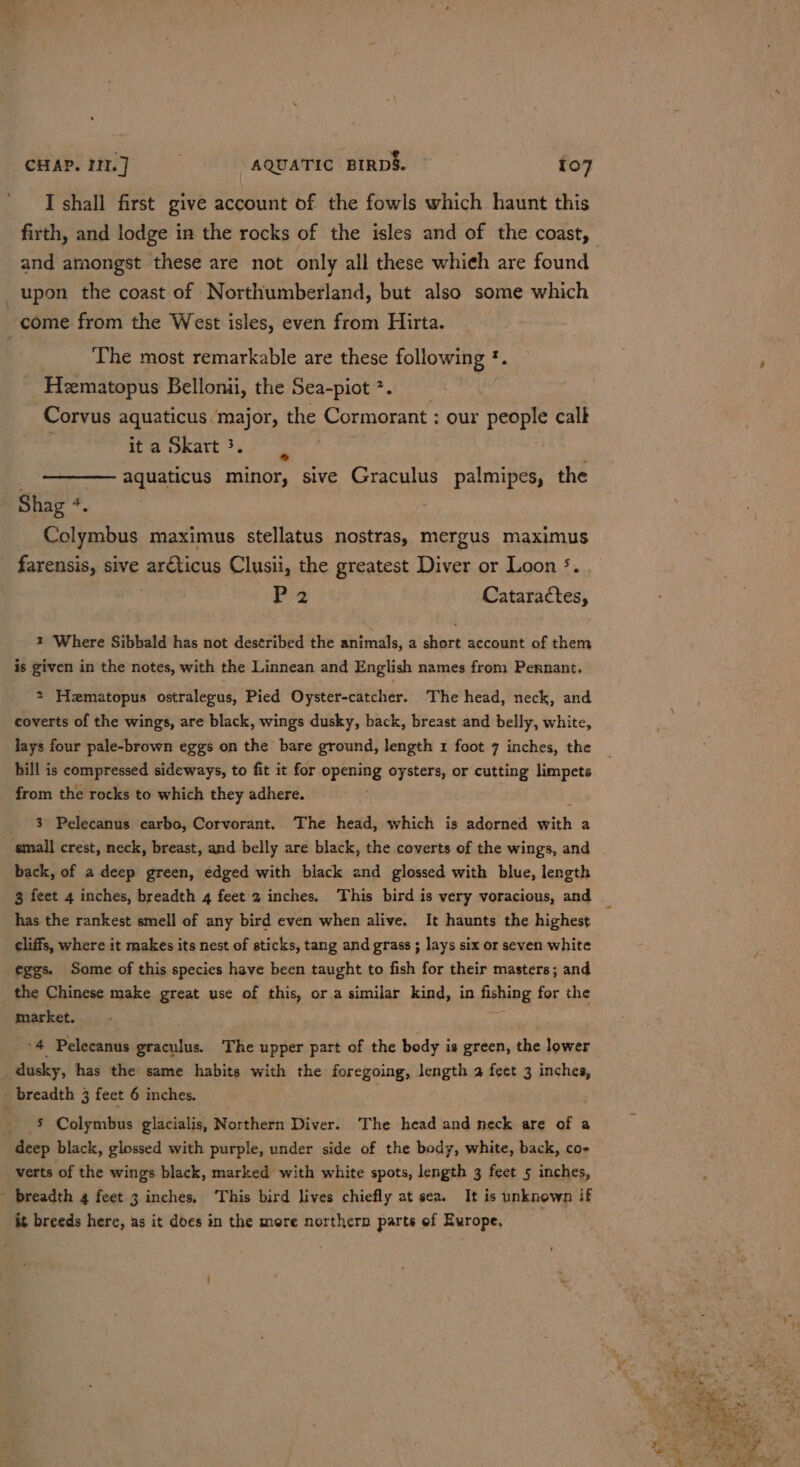 I shall first give account of the fowls which haunt this firth, and lodge in the rocks of the isles and of the coast, and amongst these are not only all these whieh are found upon the coast of Northumberland, but also some which come from the West isles, even from Hirta. The most remarkable are these following * Hematopus Bellonii, the Sea-piot *. Corvus aquaticus major, the Cormorant : our people calk it a Skart &gt;. aquaticus minor, sive Graculus palmipes, the Shag ¢. , Colymbus maximus stellatus nostras, mergus maximus farensis, sive ar€ticus Clusii, the greatest Diver or Loon 5. . Poa Cataractes, t Where Sibbald has not destribed the animals, a short account of them is given in the notes, with the Linnean and English names from Pennant. * Hezmatopus ostralegus, Pied Oyster-catcher. The head, neck, and coverts of the wings, are black, wings dusky, back, breast and belly, white, lays four pale-brown eggs on the bare ground, length 1 foot 7 inches, the hill is compressed sideways, to fit it for opening oysters, or cutting limpets from the rocks to which they adhere. 3 Pelecanus carbo, Corvorant. The head, which is adorned with a small crest, neck, breast, and belly are black, the coverts of the wings, and back, of a deep green, edged with black and glossed with blue, length 3 feet 4 inches, breadth 4 feet 2 inches. This bird is very voracious, and - has the rankest smell of any bird even when alive. It haunts the highest cliffs, where it makes its nest of sticks, tang and grass ; lays six or seven white eggs. Some of this species have been taught to fish for their masters; and the Chinese make great use of this, or a similar kind, in fishing for the _ market. ‘4 Pelecanus graculus. The upper part of the body is green, the lower dusky, has the same habits with the foregoing, length a feet 3 inches, _ breadth 3 feet 6 inches. | - § Colymbus glacialis, Northern Diver. The head and neck are of a deep black, glossed with purple, under side of the body, white, back, co verts of the wings black, marked with white spots, length 3 feet 5 inches, - breadth 4 feet 3 inches. This bird lives chiefly at sea. It is unknown if it breeds here, as it does in the more northern parts of Ewrope,