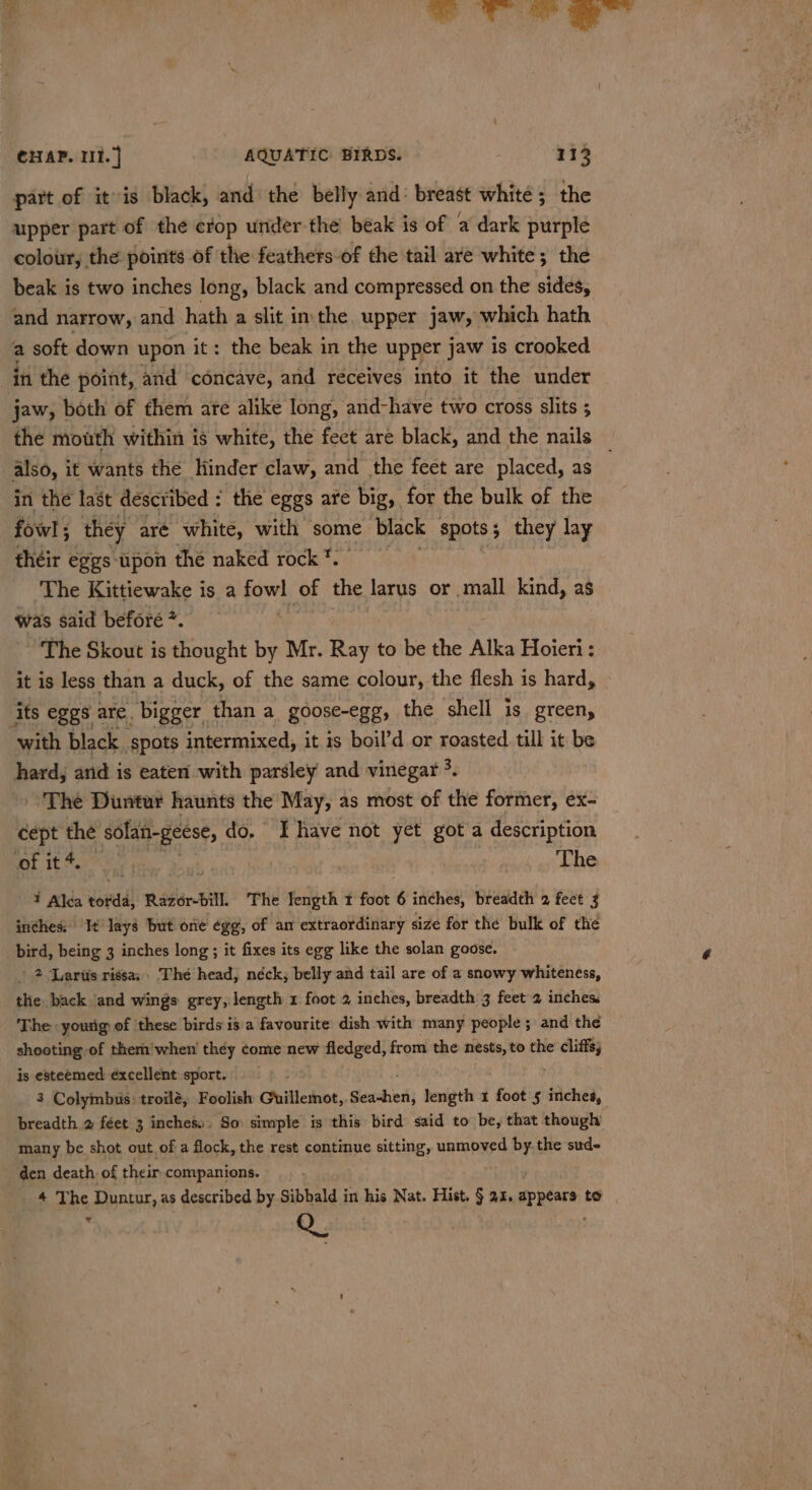 wet i allie 1S nat CHAP. 11. ] AQUATIC. BIRDS. 113 part of it»is black, and the belly and: breast white ; the upper part of the crop under the beak is of a dark purple colour, the points of the feathers-of the tail are white; the beak is two inches long, black and compressed on the sides, and narrow, and hath a slit imthe, upper jaw, which hath a soft down upon it: the beak in the upper jaw is crooked in the point, and concave, and receives into it the under jaw, both of them are alike long, and- have two cross slits ; the mouth within is white, the fect are black, and the nails _ also, it wants the hinder claw, and the feet are placed, as in the last described : the eggs are big, for the bulk of the fowl; they aré white, with some black spots; they lay théir eggs upon the naked rock *. The Kittiewake is a fred of the jarus or mall kind, as was said beforé *. The Skout is thought by Mr. Ray to be the Alka Hoieri: it is less than a duck, of the same colour, the flesh is hard, its eggs are, bigger than a goose-egg, the shell is green, with black spots intermixed, it is boil’d or roasted till it be hard, and is eaten with parsley and vinegar ?. The Duntur haunts the May, as most of the former, ex- cept the solan-geese, do. Ihave not yet got a description BY Ut at or es. 5 bid a LOO ? Alca torda, Razor-bill. The length I foot 6 inches, breadth 2 feet 3 inches. It lays but one égg, of am extraordinary size for the bulk of the bird, being 3 inches long; it fixes its egg like the solan goose. | 2 Larus rissa, The head, néck, belly and tail are of a snowy whiteness, the back and wings grey, length 1 foot 2 inches, breadth 3 feet 2 inches The yourig of these birds is a favourite dish with many people ; and the shooting of them'when' they come new fledged, from the nests, to the cliffs, is esteemed excellent sport. 3 Colymbus: troilé, Foolish Guillemot,. rea length 1 foot’5 diene, breadth 2 féet 3 inches. So: simple is this bird said to be, that though many be shot out of a flock, the rest continue sitting, unmoved by the sud- den death. of their companions. 4 The Duntur, as described by Sibbald in his Nat. Hist. § az. appears | to eX