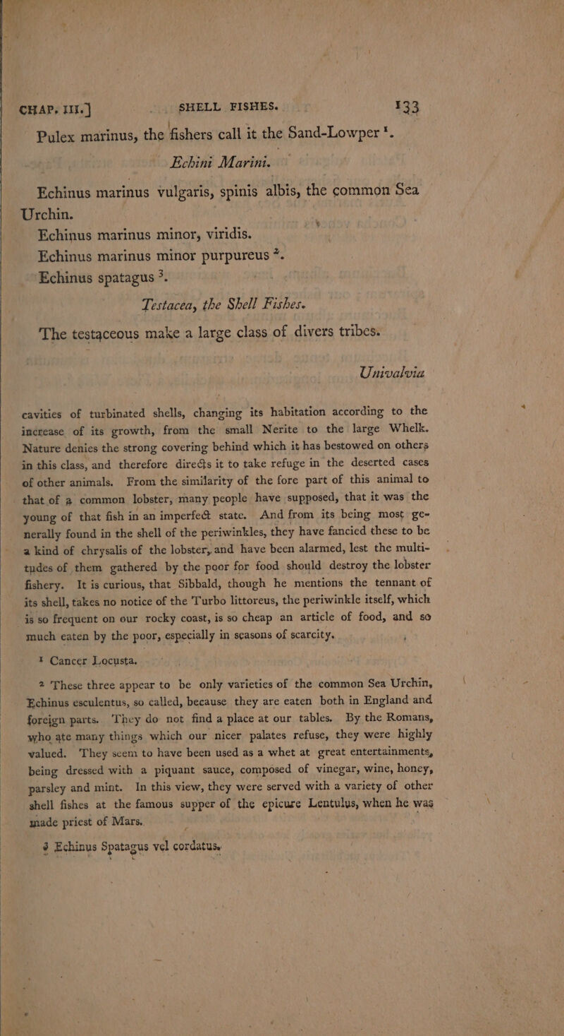 ) Pulex marinus, the fishers call it the Sand-Lowper *. Echini Marini. Echinus marinus vulgaris, spinis albis, the common Sea Urchin. Echinus marinus minor, viridis. ¥ Echinus marinus minor purpureus 7. Echinus spatagus &gt;. Testacea, the Shell Fishes. The testaceous make a large class of divers tribes. Univalvia cavities of turbinated shells, changing its habitation according to the increase of its growth, from the small Nerite to the large Whelk. Nature denies the strong covering behind which it has bestowed on others in this class, and therefore directs it to take refuge in the deserted cases of other animals. From the similarity of the fore part of this animal to that of 2 common lobster, many people have supposed, that it was the young of that fish in an imperfe&amp; state. And from its being most ge- nerally found in the shell of the periwinkles, they have fancied these to be a kind of chrysalis of the lobster, and have been alarmed, lest the multi- tudes of them gathered by the poor for food should destroy the lobster fishery. It is curious, that Sibbald, though he mentions the tennant of its shell, takes no notice of the Turbo littoreus, the periwinkle itself, which much eaten by the poor, especially in seasons of scarcity. Cancer Locusta. 2 These three appear to be only varieties of the common Sea Urchin, Echinus esculentus, so called, because they are eaten both in England and foreign parts. They do not find a place at our tables. By the Romans, who ate many things which our nicer palates refuse, they were highly walued. ‘They scem to have been used as a whet at great entertainments, being dressed with a piquant sauce, composed of vinegar, wine, honey, parsley and mint. In this view, they were served with a variety of other shell fishes at the famous supper of the epicure Lentulys, when he was made priest of Mars.. / é Echinus Spatagus vel cordatuse