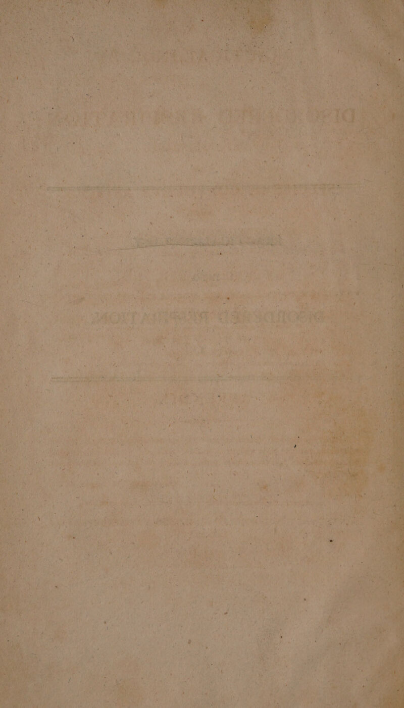 gh ities Yas asa . ‘ Peer. Pe ; 4 7 | ny . A te tgp Sieg 3h pp any en ee . Busy eth fee em oa a + Le ale PP is ait aa VY heh ty CAV yr de vl Sein Wi athe hy oe i A mae ied 8 it “A ; As
