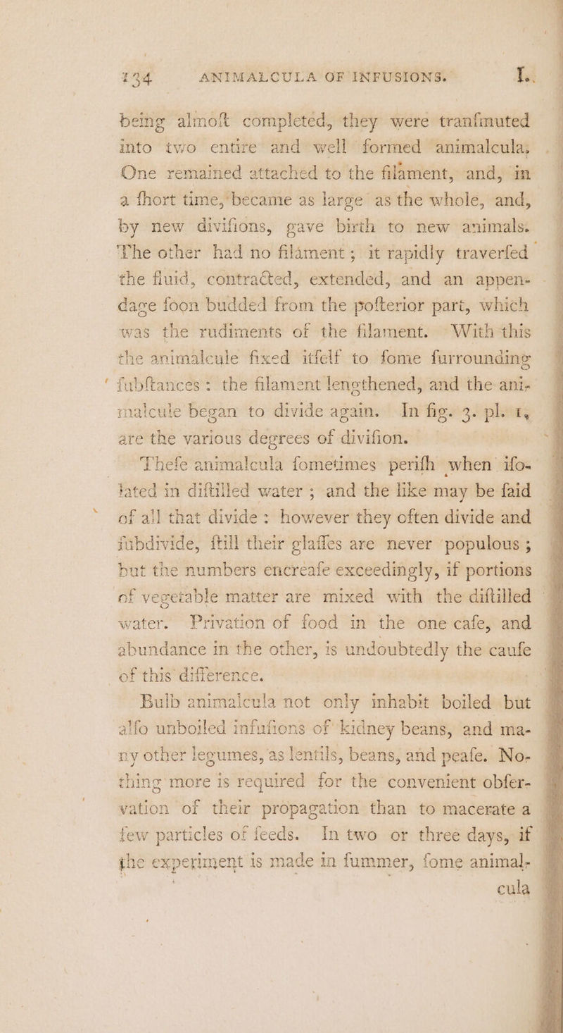 being almoft completed, they were tranfmuted into two entire and well formed animalcula; One remained attached to the filament, and, in a fhort time, became as large as the whole, and, by new divifions, gave birth to new animals. the fluid, contra€ted, extended, and an appen- daze foon budded from the pofterior part, which was the rudiments of the filament. With «this the animalcule fixed itfelf to fome furroundinge pitas : the filament lengthened, and the ani- matcule began to divide again. In fig. 3. » ay are the various degrees of divifion. — Thefe animalcula fometimes perifh when ifo- of all that divide: however they often divide and jubdivide, itil their glafles are never ‘populous ; but the numbers encreafe exceedingly, if portions water. Privation of food in the one cafe, and abundance in the other, is undoubtedly the caufe f this difference. alfo unbojled infufions of kidney beans, and ma- ny other leoumes, as lentils, beans, and peafe. No- thing more is required for the convenient obfer- the experiment is made in fummer, fome animal;