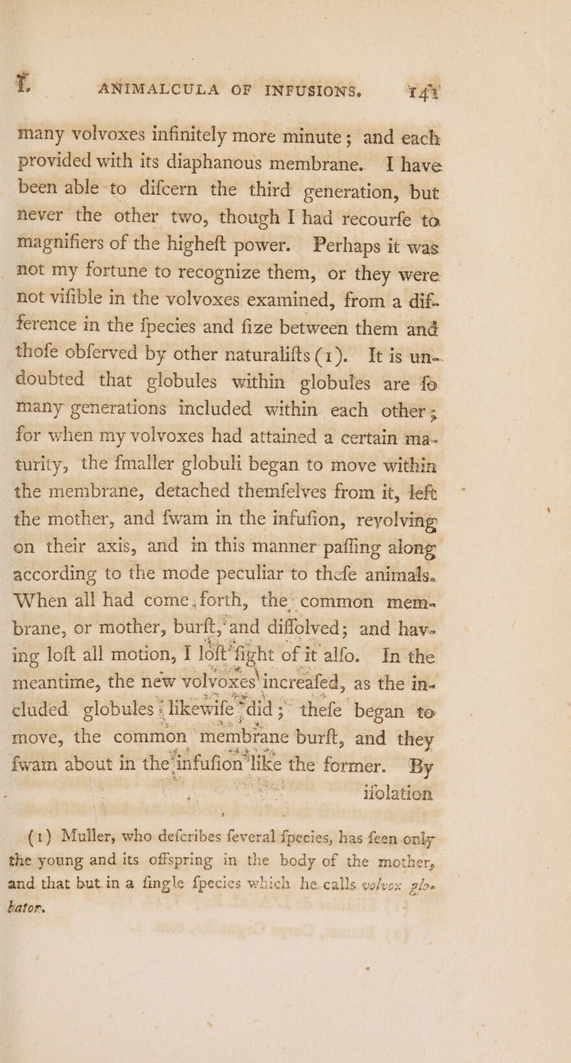 many volvoxes infinitely more minute; and each provided with its diaphanous membrane. I have been able-to difcern the third generation, but never the other two, though I had recourfe to magnifiers of the higheft power. Perhaps it was _ Rot my fortune to recognize them, or they were not vifible in the volvoxes examined, from a dif. ference in the fpecies and fize between them and thofe obferved by other naturalifts (1). T38 a— doubted that globules within globules are fo many generations included within each other ; for when my volvoxes had attained a certain ma- turity, the fmaller globult began to move within the membrane, detached themfelves from it, left the mother, and fwam in the infufion, reyolving on their axis, and in this manner paffing along according to the mode peculiar to thefe animals. When all had come, forth, the’ ‘common mem- brane, or mother, burit, ‘and diffolved; and hav- ing loft all motion, I loft’ fight of j it ‘alfo. In the meantime, the new volvoxes increafed, as the in- cluded globules ; like ewife “did : * thefe’ began to move, the common ‘membiane burft, and they fwam about in the’ infufion’ like the former. By , | om ifolation ‘ (1) Muller, who defcribes feveral fpecies, has feen only the young and its offspring in the body of the mother, and that butin a ings {pecies which he.calls volvox plo bator.