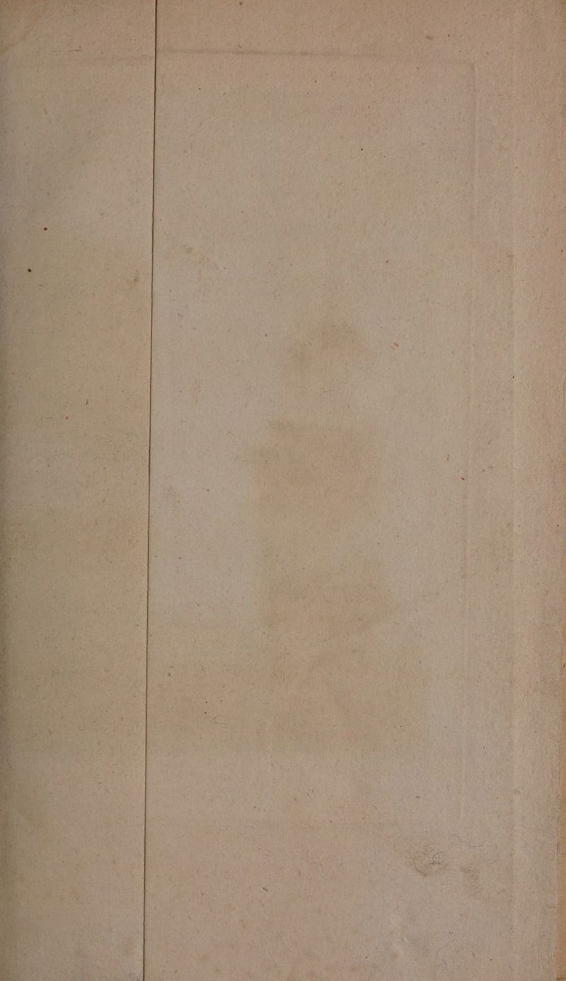 Se! oes . ‘Eee vy ee eS Sts Ne md: