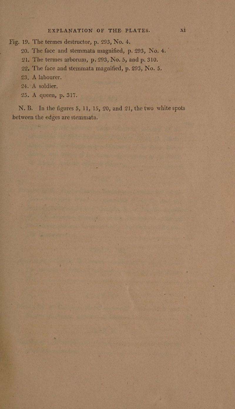 Fig. 19, The termes destructor, p. 293, No. 4. 20. The face and stemmata magnified, p. 293, No. 4. 21. The termes arborum, p. 293, No. 5, and p. 310. 22. The face and stemmata magnified, p. 293, No. 5. 23, A labourer. 94. A. soldier. oo. &amp;.aneen, Pp. 217. N.B. In the figures 5, 11, 15, 20, and 21, the two white spots between the edges are stemmata.