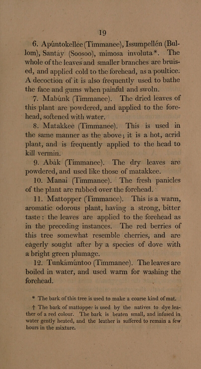 6. Apuntokellee (Timmanee), Issumpellén (Bul- lom), Santay (Soosoo), mimosa involuta*. The whole of the leaves and smaller branches are bruis- ed, and applied cold to the forehead, as a poultice. A decoction of it is also frequently used to bathe the face and gums when painful and swoln. 7. Mabank (Timmanee). The dried leaves of this plant are powdered, and applied to the fore- head, softened with water. 8. Matakkee (Timmanee). This is used in the same manner as the above; it is a hot, acrid plant, and is frequently applied to the head to kill vermin. 9. Abak (Timmanee). The dry leaves are powdered, and used like those of matakkee. 10. Manai (Timmanee). The fresh panicles of the plant are rubbed over the forehead. * 11. Mattopper (Timmanee). This isa warm, aromatic odorous plant, having a strong, bitter taste: the leaves are applied to the forehead as in the preceding instances. ‘The red berries of this tree somewhat resemble cherries, and are eagerly sought after by a species of dove with a Ge green plumage. . Tunkamuntoo (Timmanee). The leaves are ee in water, and used warm for washing the forehead. * The bark of this tree is used to make a coarse kind of mat. + The bark of mattopper is used by the natives to dye lea- ther of a red colour. The bark is beaten small, and infused in water gently heated, and the leather is suffered to remain a few hours in the mixture.