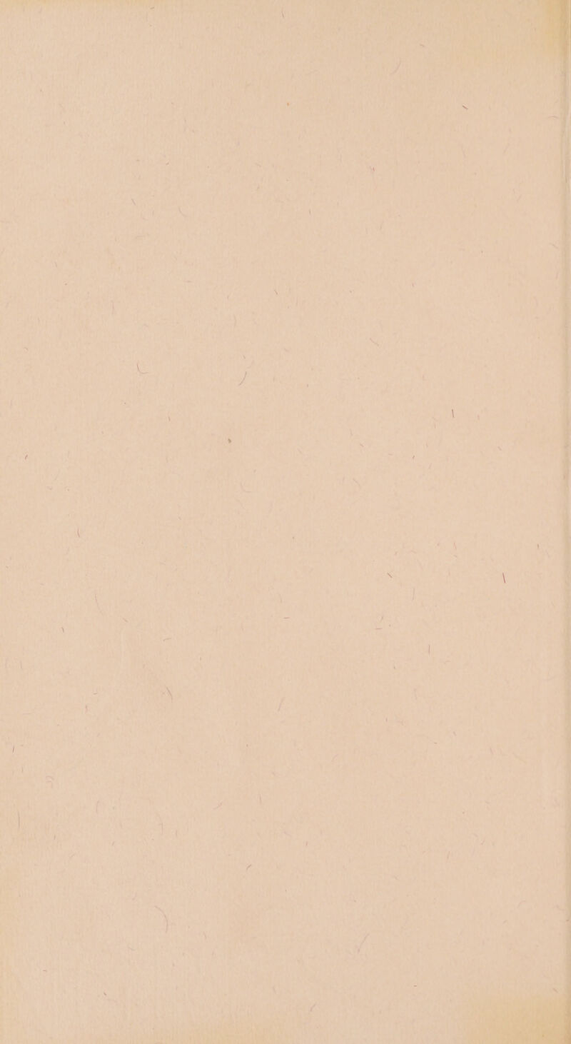 RONA 4: 4 Lan ‘ ti [#] Lit al \ et LS 14 Nr te te TES