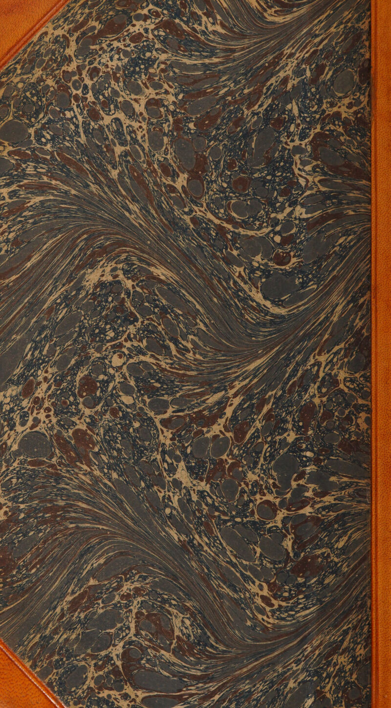 “PT  PATES E ne CURE . RAR En nt ete £ 22% DRE ST * EX we SIZE UE SC TO PARS es es US À TEL PEN RAT rt NE Gr Dé PP je ss vs ci ee Di