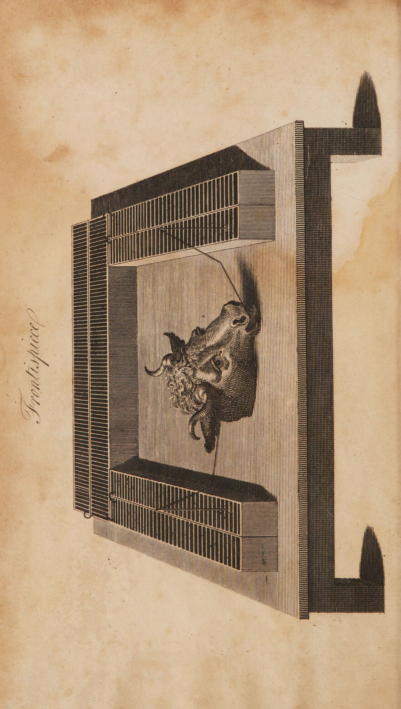 UMfece? n, P01 ¢ © ie Se.” ane Ny MM \ \v\\ \ \ { \ \\\ \ i\ — Aco (/