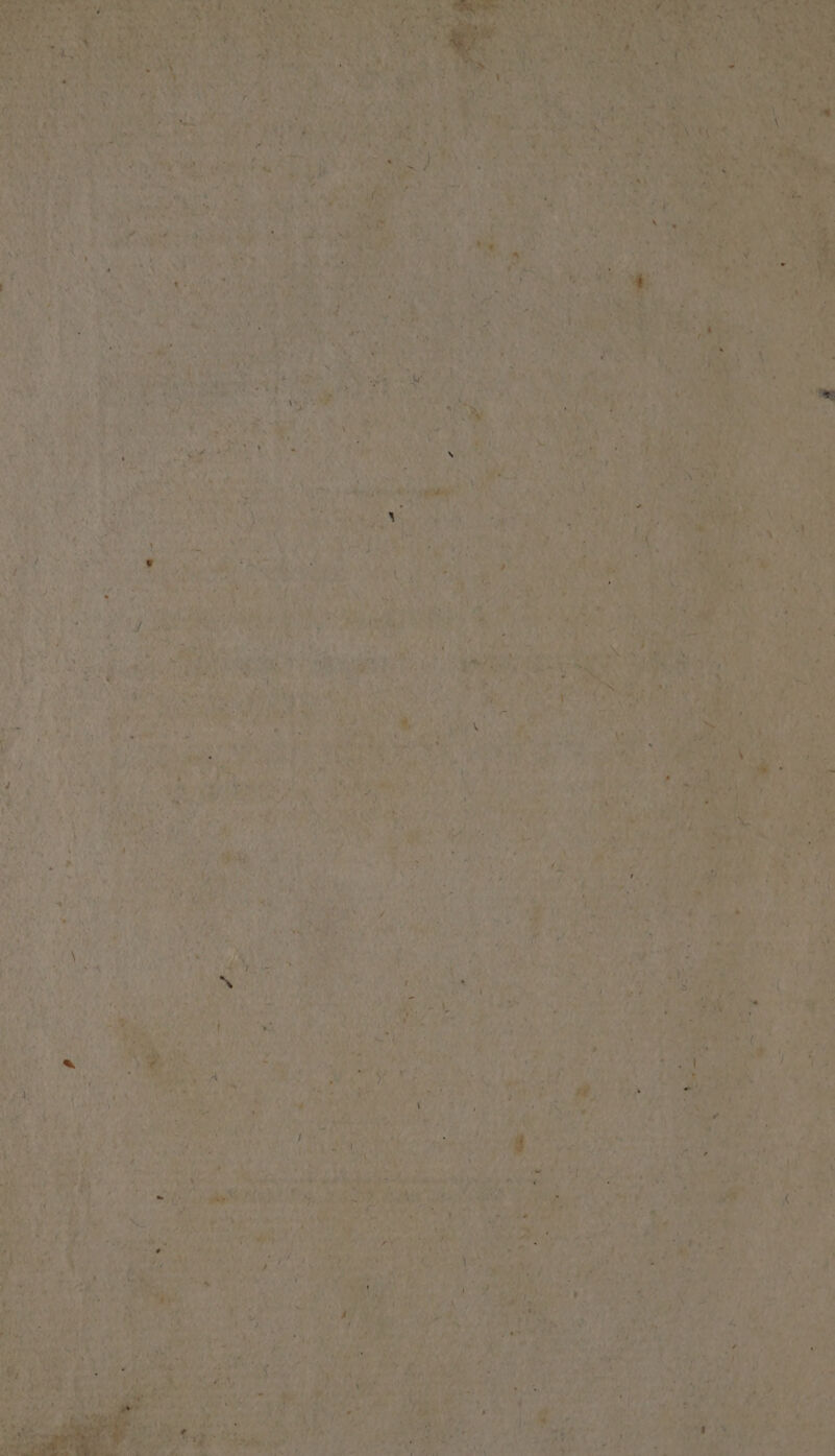 (2M Roy, ie Bey Ht ey ys ” wr