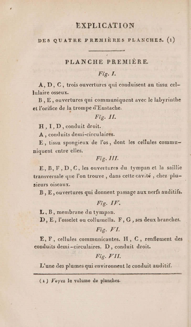 EXPLICATION DES QUATRE PREMIÈRES PLANCHES. (1) 4 PLANCHE PREMIÈRE. Fig. J. À,D,C, trois ouvertures qui conduisent au tissu cel- lulaire osseux. B,Ë, ouvertures qui communiquent avec le labyrinthe et l’orifice de la trompe d’'Eustache. | Fig. IL. H,1,D, conduit droit. À , conduits demi-circulaires. E , tissu spongieux de l’os, dont les cellules commu niquent entre elles. , Fig. TITI. E,B,F,D,C, les ouvertures du tympanet la saillie transversale que l’on trouve , dans cette cavité , chez plu- sieurs oiseaux. B,E, ouvertures qui donnent passage aux nerfs auditifs. Fie. IF. L,B, membrane du tympan. D,E, l’osselet ou collumella. F, G , ses deux branches. 7 A E E,F, cellules communicantes. H, C, renflement des conduits demi-circulaires. D, conduit droit. Fig. VII. L’une des plumes qui environnent le conduit auditif. (1) Voyez le volume de planches.