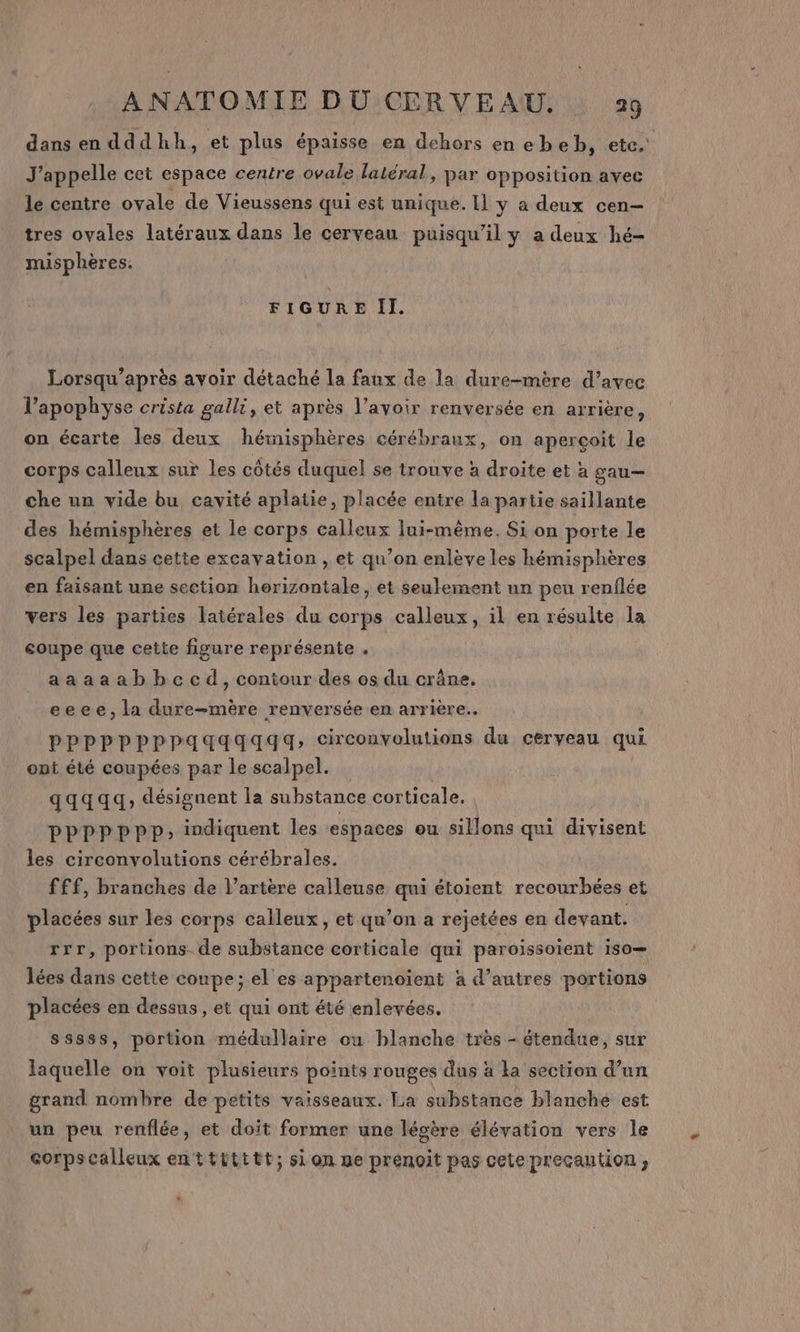 dans en dddhh, et plus épaisse en dehors en ebeb, etc. J'appelle cet espace centre ovale latéral, par opposition avec le centre ovale de Vieussens qui est unique. Il y a deux cen- tres ovales latéraux dans le cerveau puisqu'il y a deux hé- misphères. FIGURE Il. Lorsqu’après avoir détaché la faux de la dure-mère d’avec l’apophyse crista galli, et après lavoir renversée en arrière, on écarte les deux hémisphères cérébraux, on aperçoit le corps calleux sur les côtés duquel se trouve à droite et à gau— che un vide bu cavité aplatie, placée entre la partie saillante des hémisphères et le corps calleux lui-même. Si on porte le scalpel dans cette excayation , et qu’on enlève les hémisphères en faisant une section horizontale, et seulement un peu renflée vers les parties latérales du corps calleux, il en résulte la coupe que cette figure représente . aaaaabbcecd, contour des os du crâne. eeee, la dure-mère renversée en arrière. pPPPPPPPPaqqqaqgaqg, circonvolutions du cerveau qui ont été coupées par le scalpel. qqqqq; désignent la substance corticale. pprpppp; indiquent les espaces eu sillons qui divisent les circonvolutions cérébrales. fff, branches de l'artère calleuse qui étoient recourbées et placées sur les corps calleux, et qu’on a rejetées en devant. rrr, portions. de substance corticale qui paroissoient 180— lées dans cette conpe; el es appartenoient à d’autres portions placées en dessus, et qui ont été enlevées. sssss, portion médullaire ou blanche très - étendue, sur laquelle on voit plusieurs points rouges dus à la section d’un grand nombre de petits vaisseaux. La substance blanche est un peu renflée, et doit former une légère élévation vers le corpscalleux enttttttt; sion ne prenoit pas cetepreçaution;,